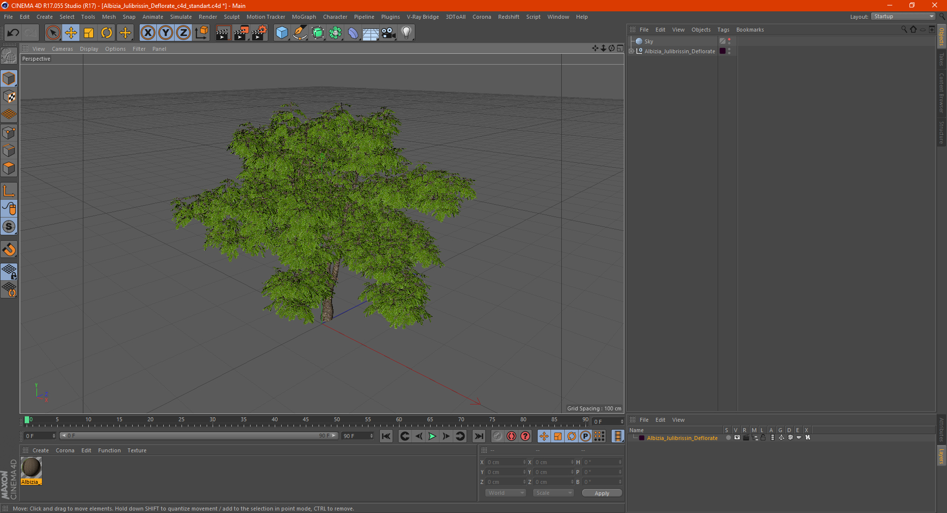 Albizia Julibrissin Deflorate 3D model