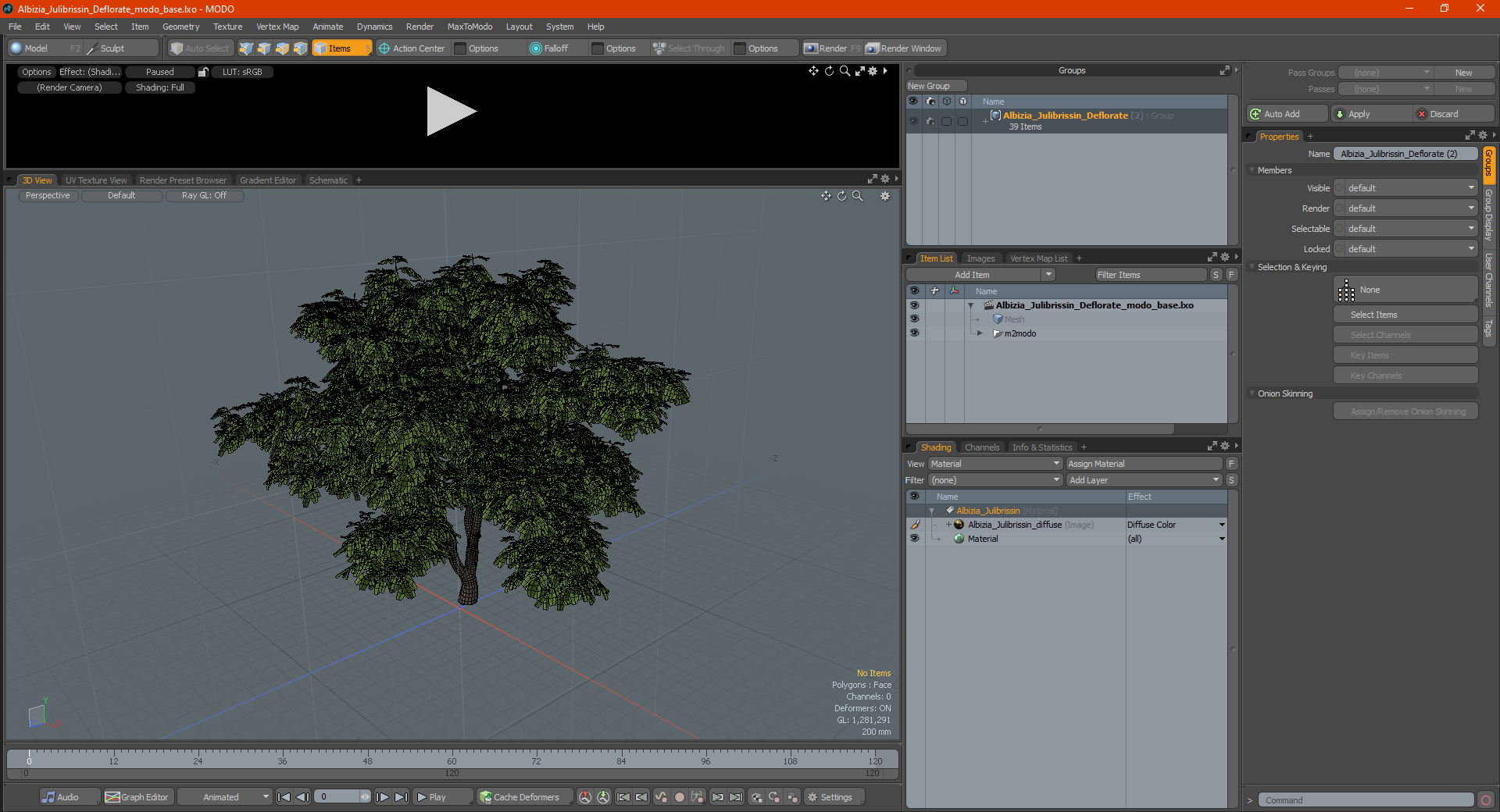 Albizia Julibrissin Deflorate 3D model