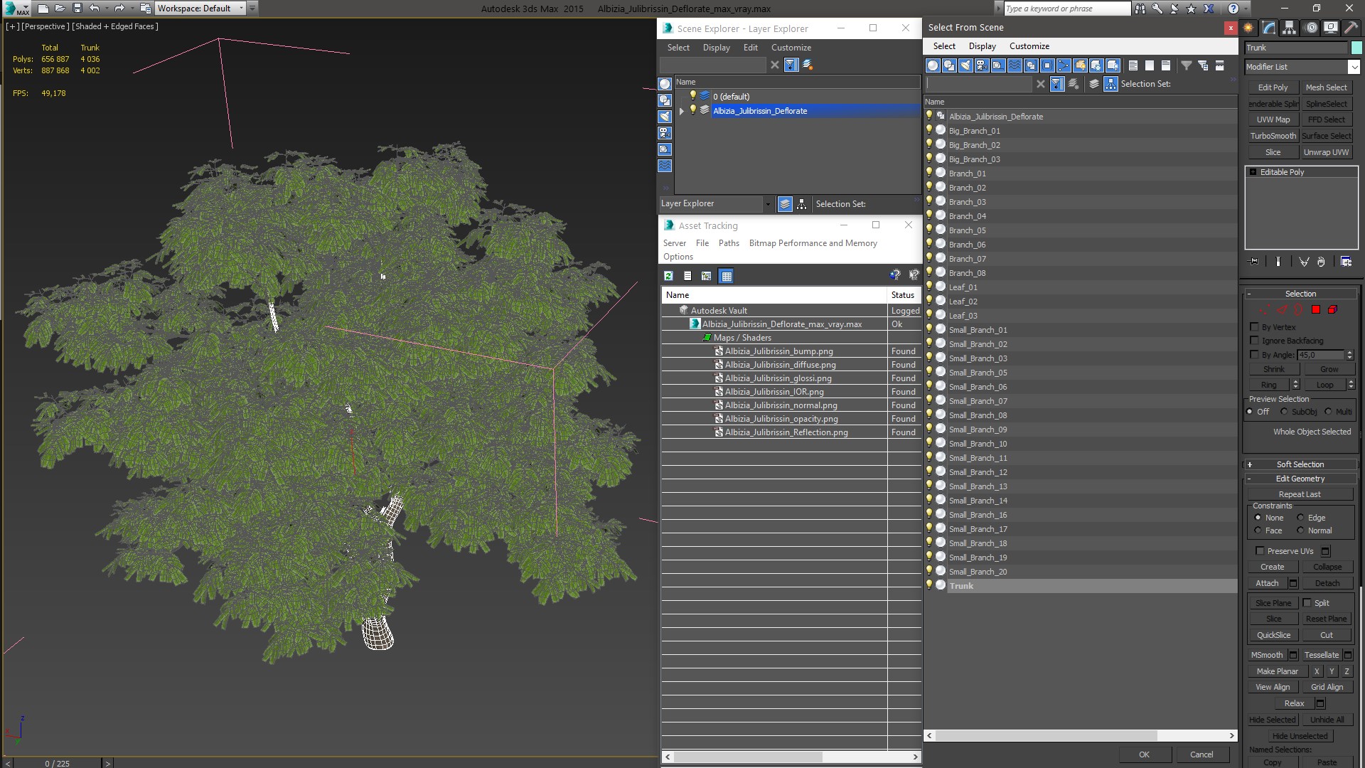 Albizia Julibrissin Deflorate 3D model