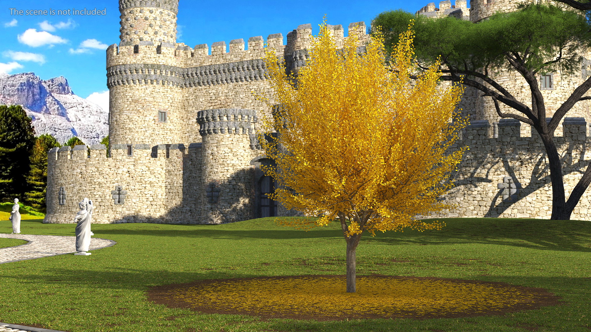 3D Ginkgo Tree Leaf Fall