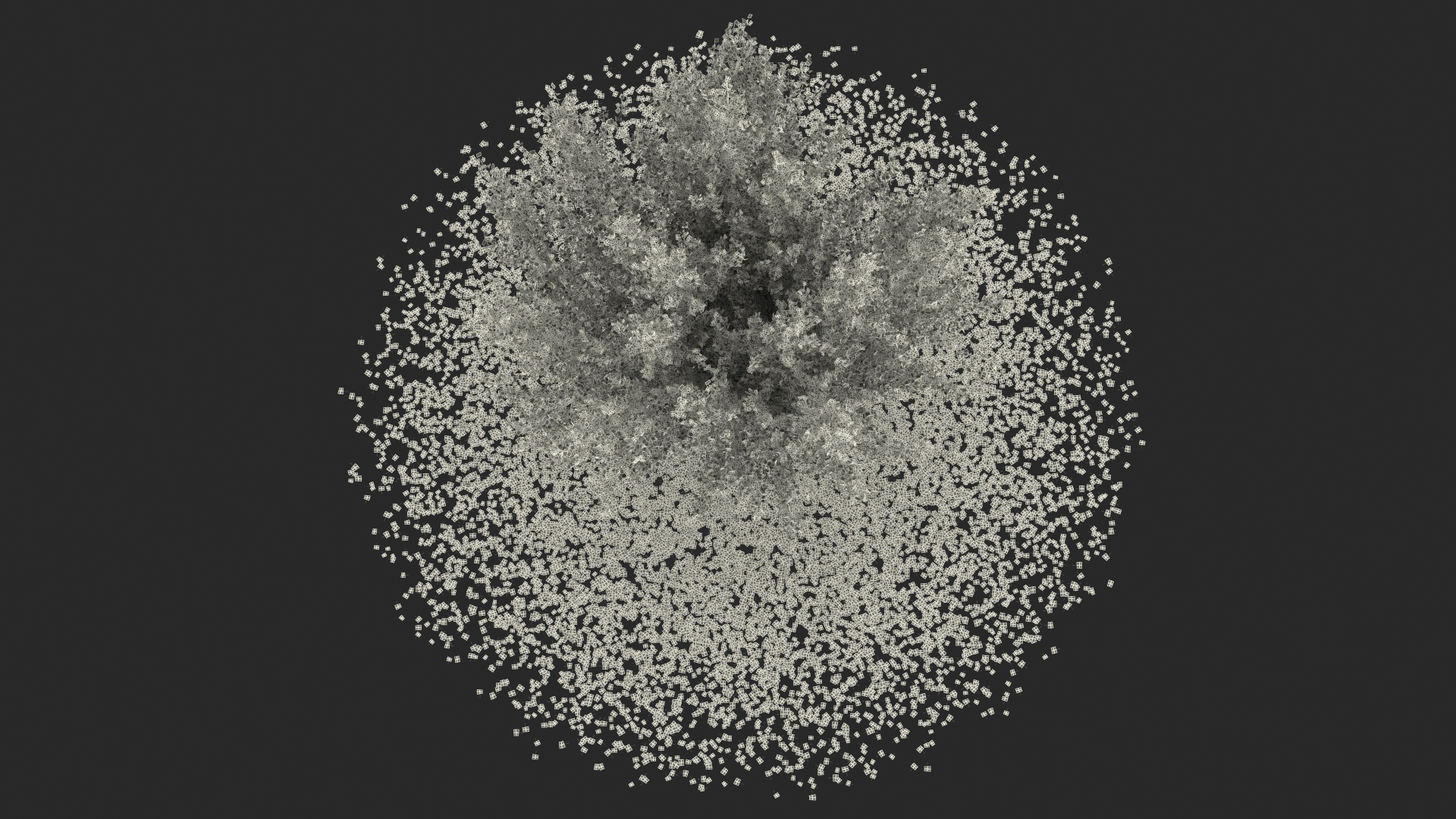 3D Ginkgo Tree Leaf Fall