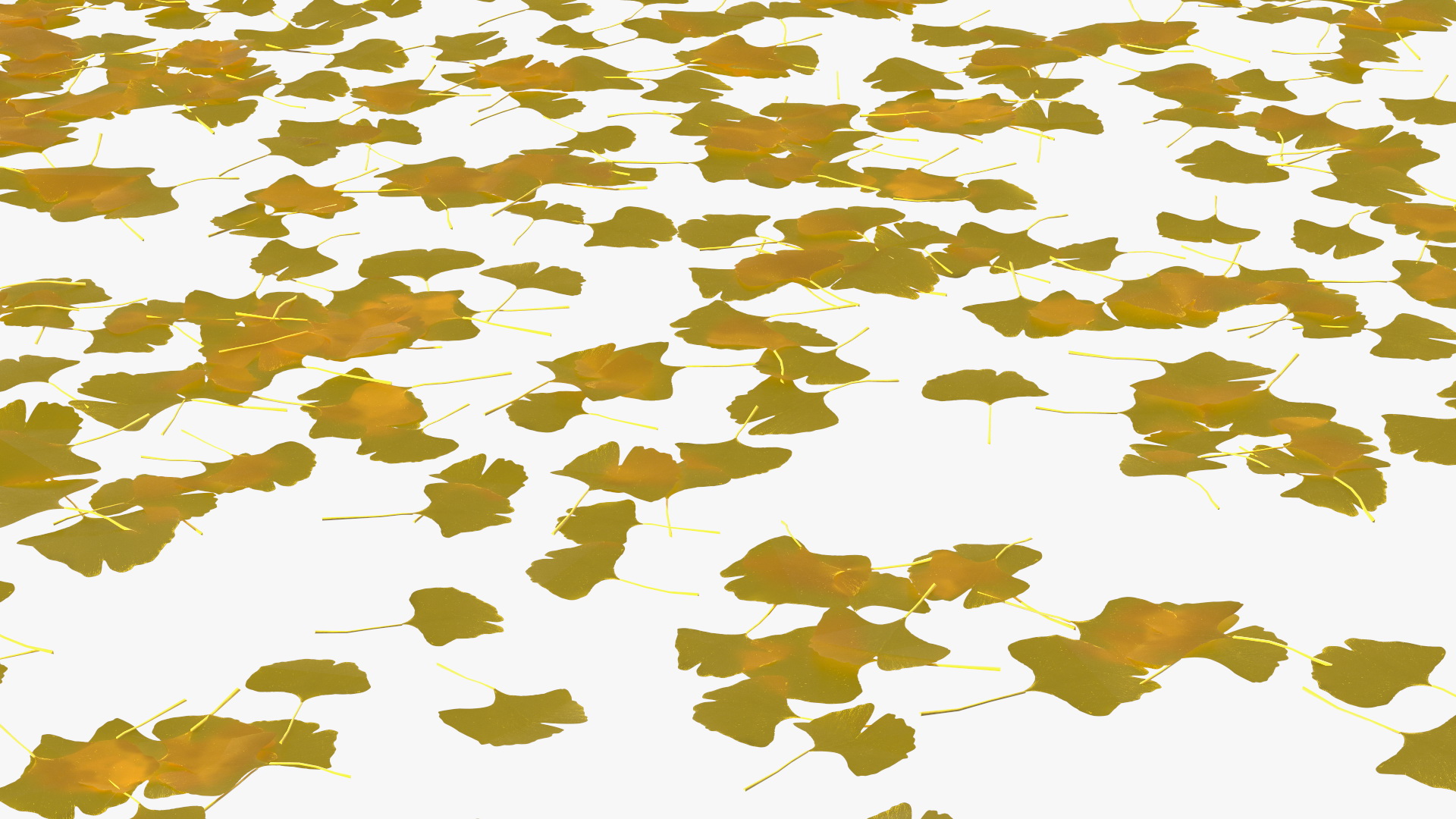 3D Ginkgo Tree Leaf Fall