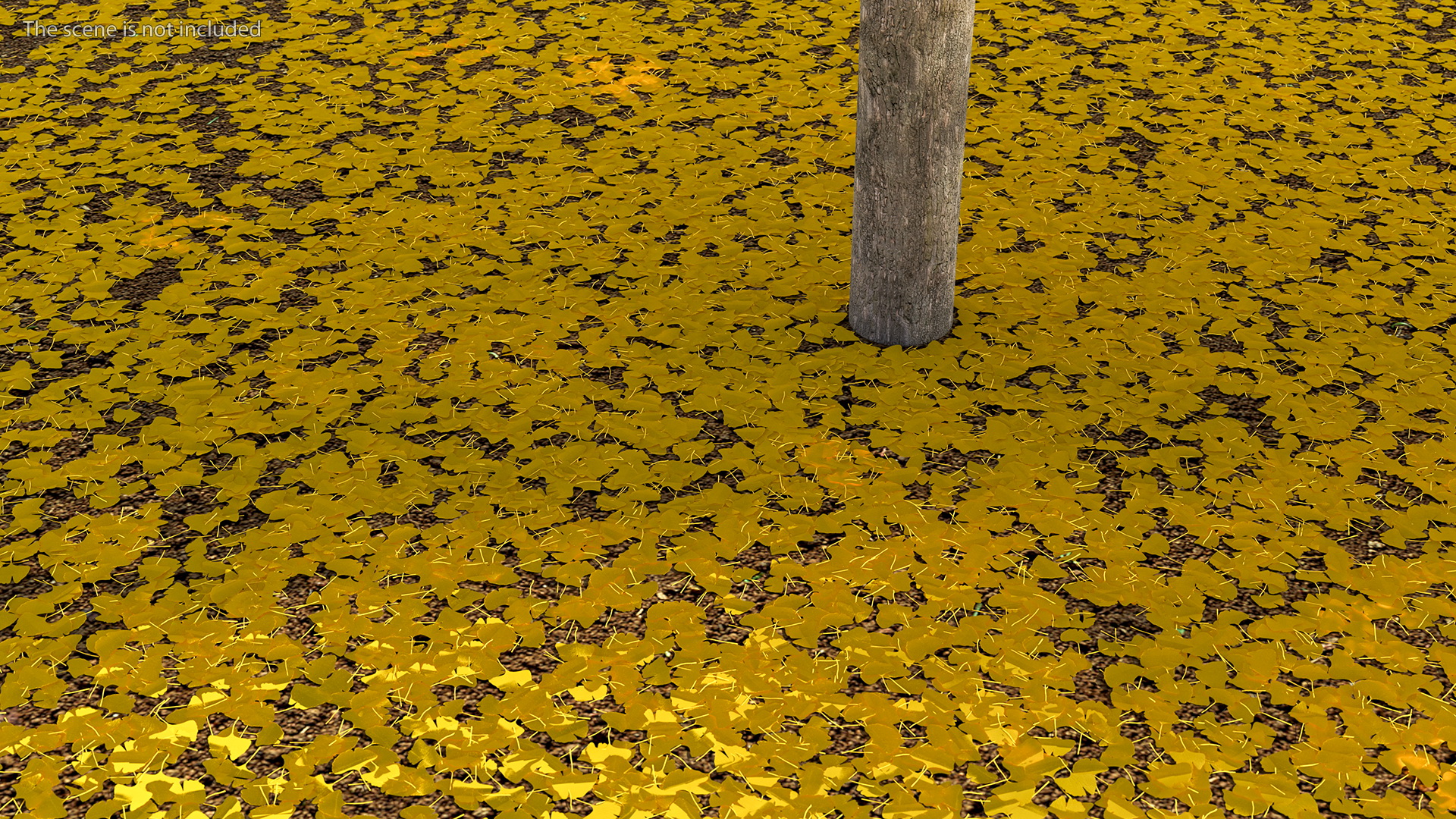 3D Ginkgo Tree Leaf Fall