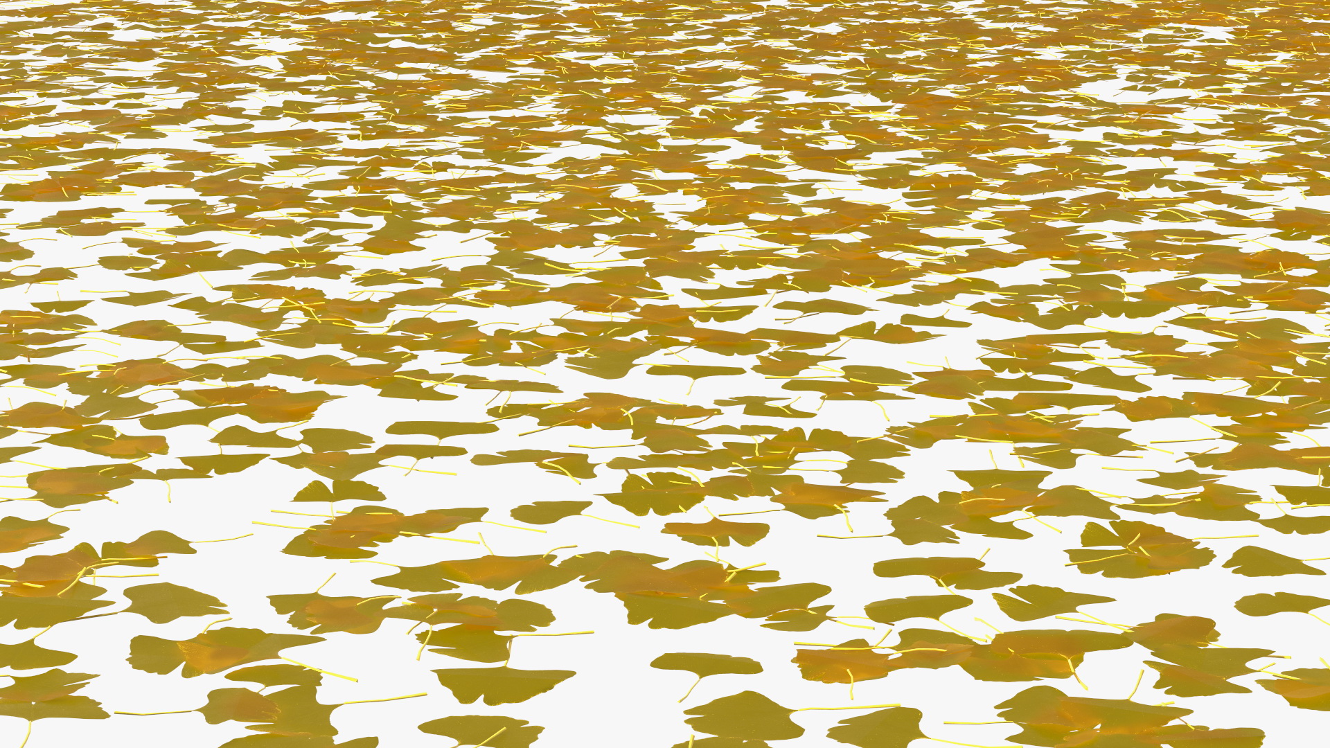 3D Ginkgo Tree Leaf Fall
