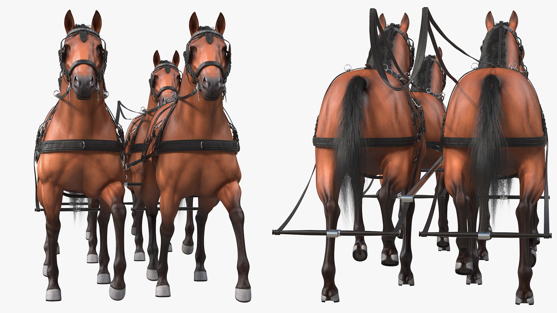 3D Team of Four Breast Collar Harness Walking Pose Fur