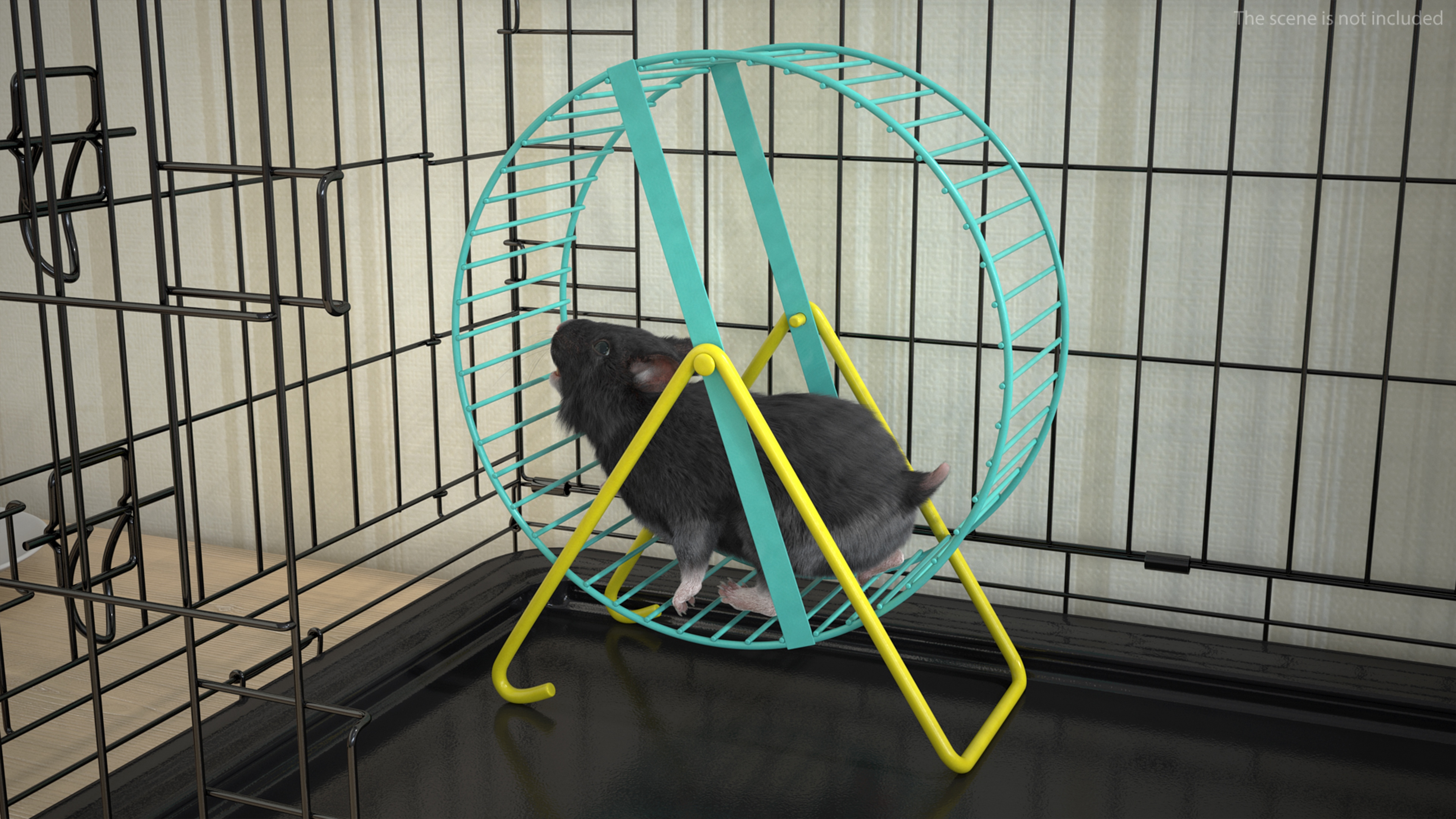 Syrian Hamster Black Rigged 3D