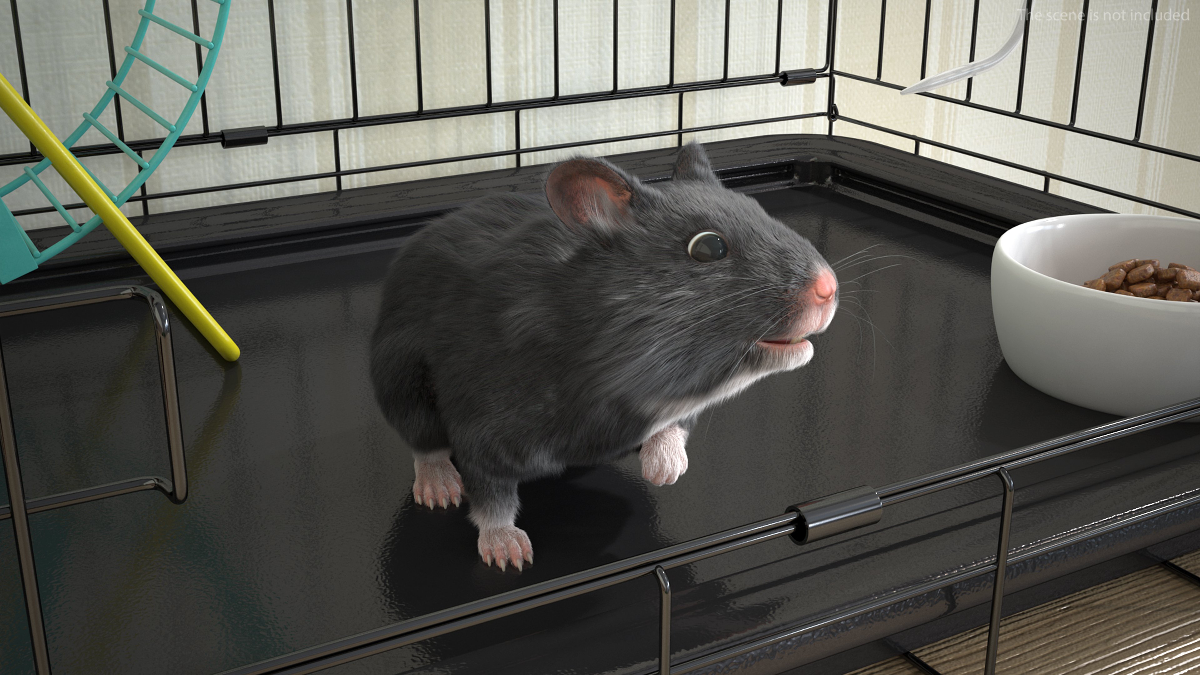 Syrian Hamster Black Rigged 3D