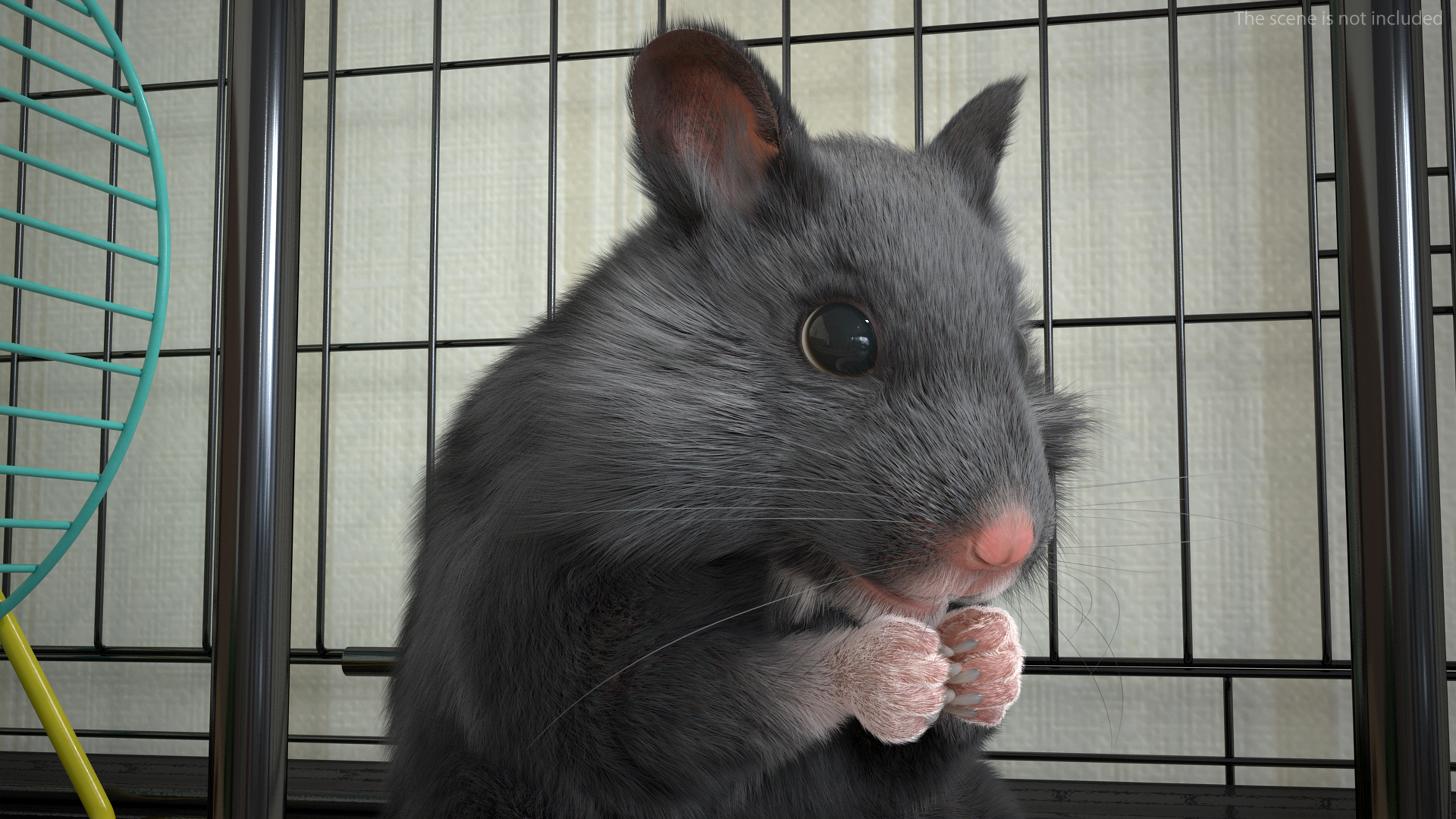 Syrian Hamster Black Rigged 3D