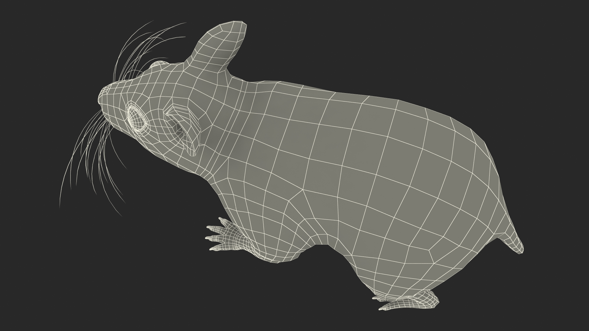 Syrian Hamster Black Rigged 3D