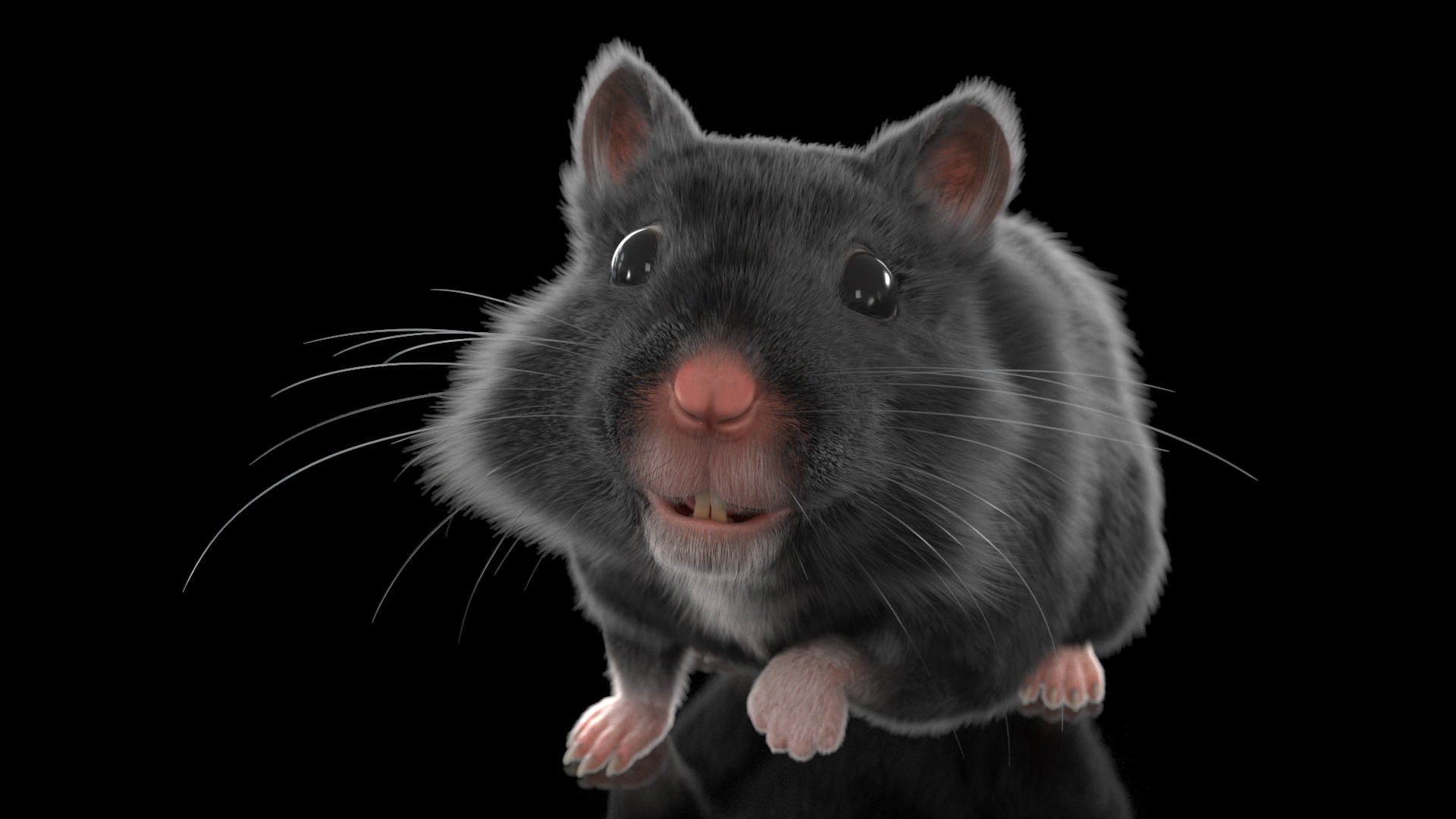 Syrian Hamster Black Rigged 3D