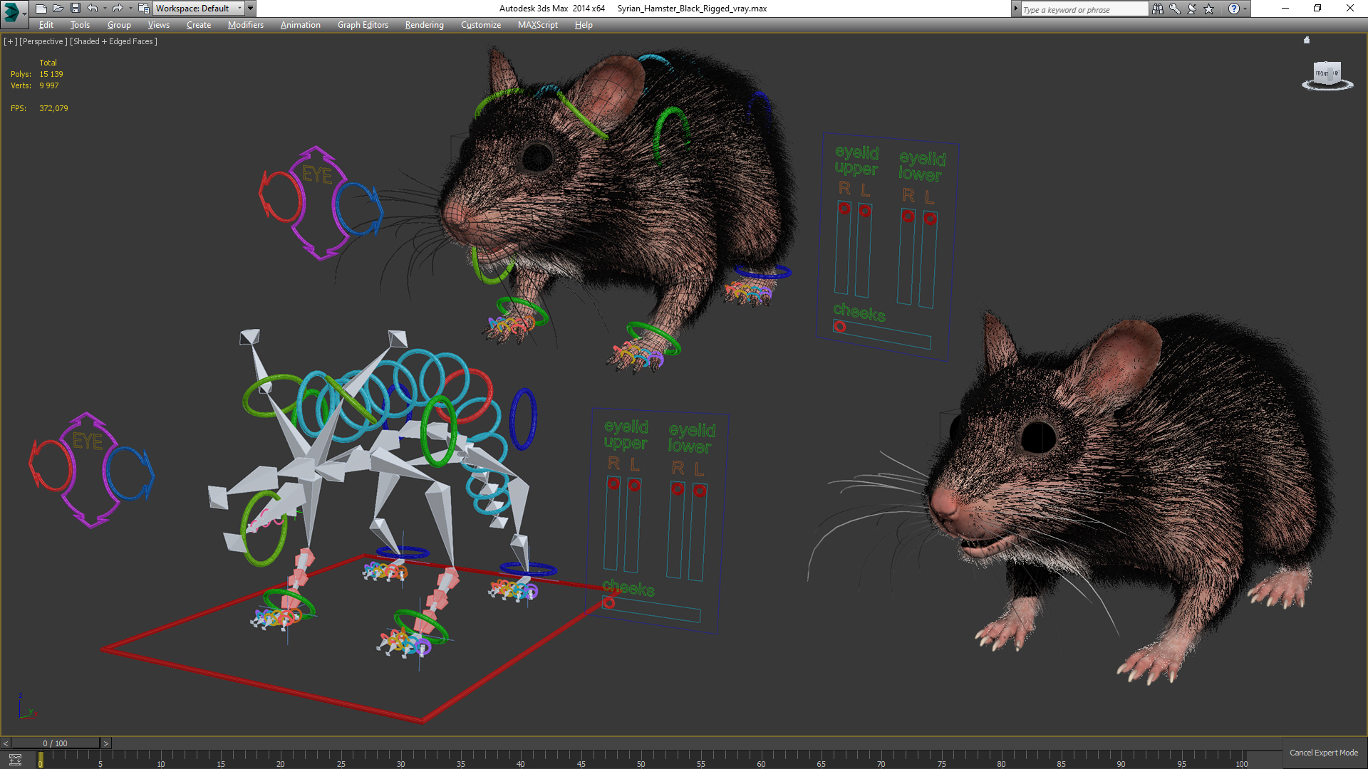 Syrian Hamster Black Rigged 3D