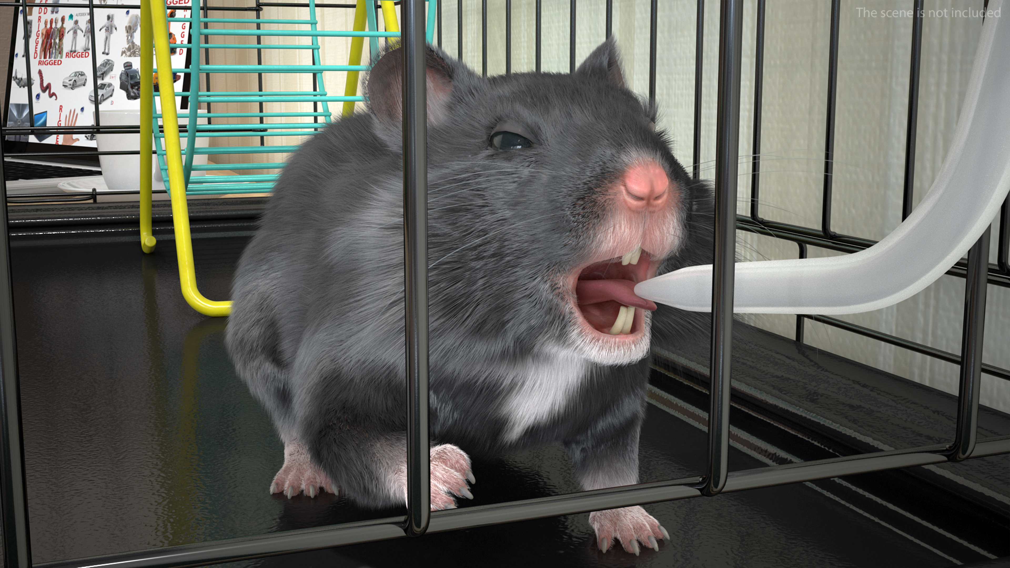 Syrian Hamster Black Rigged 3D