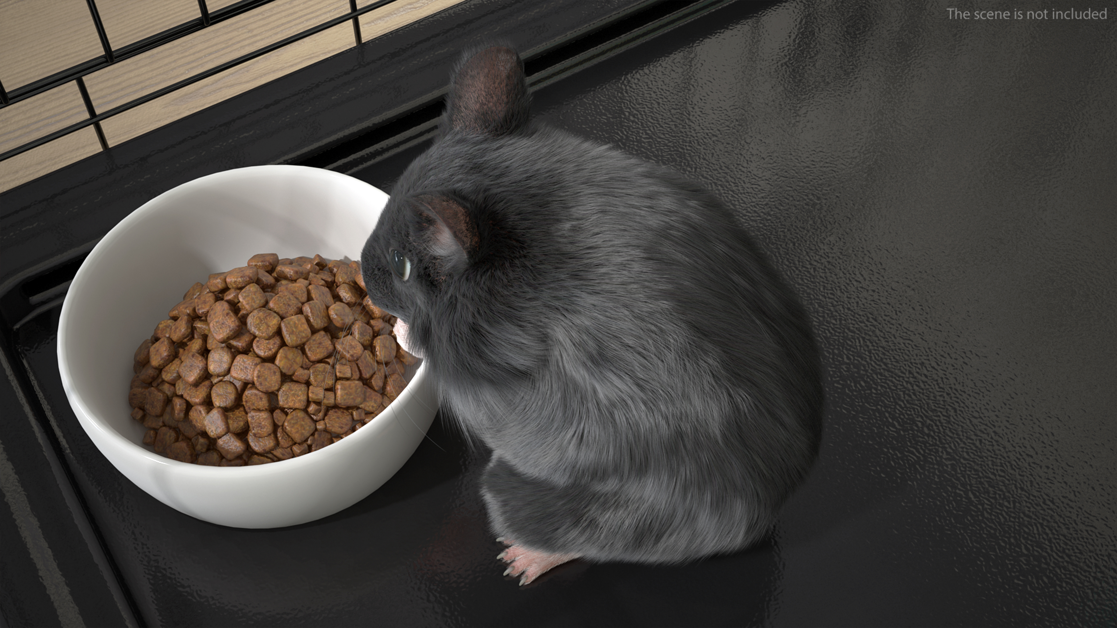 Syrian Hamster Black Rigged 3D