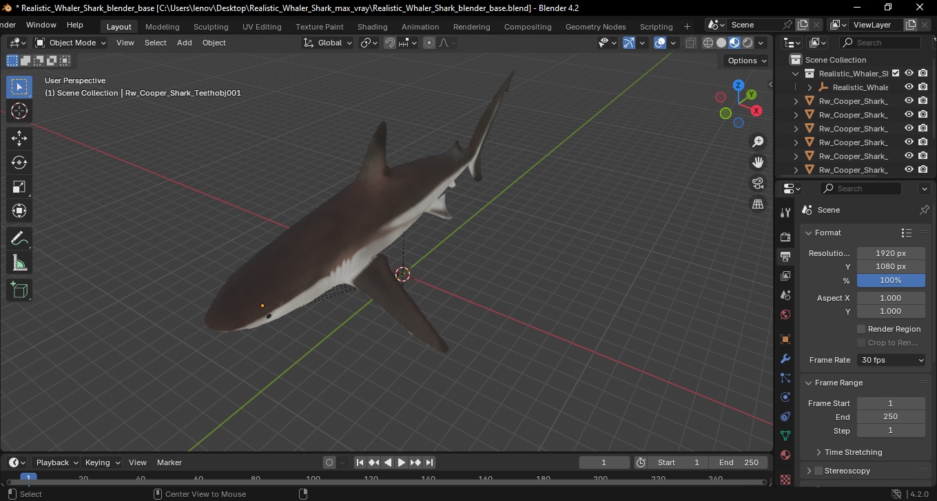 Realistic Whaler Shark 3D