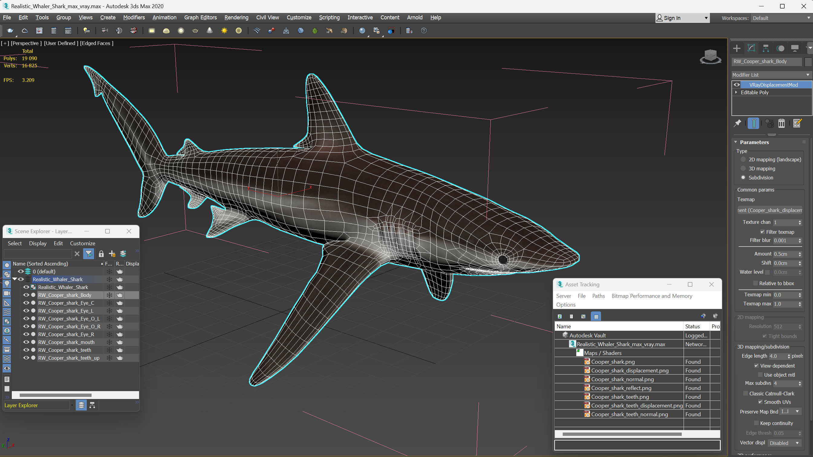 Realistic Whaler Shark 3D