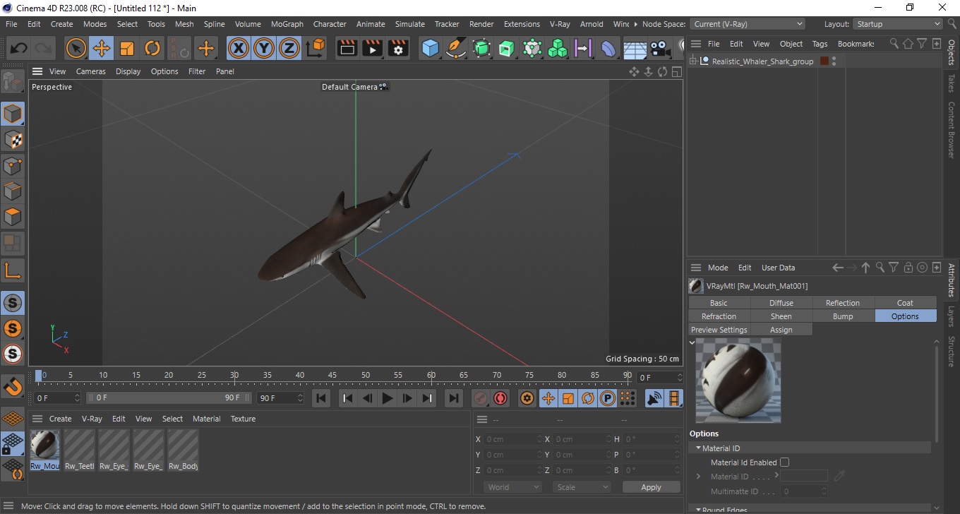Realistic Whaler Shark 3D