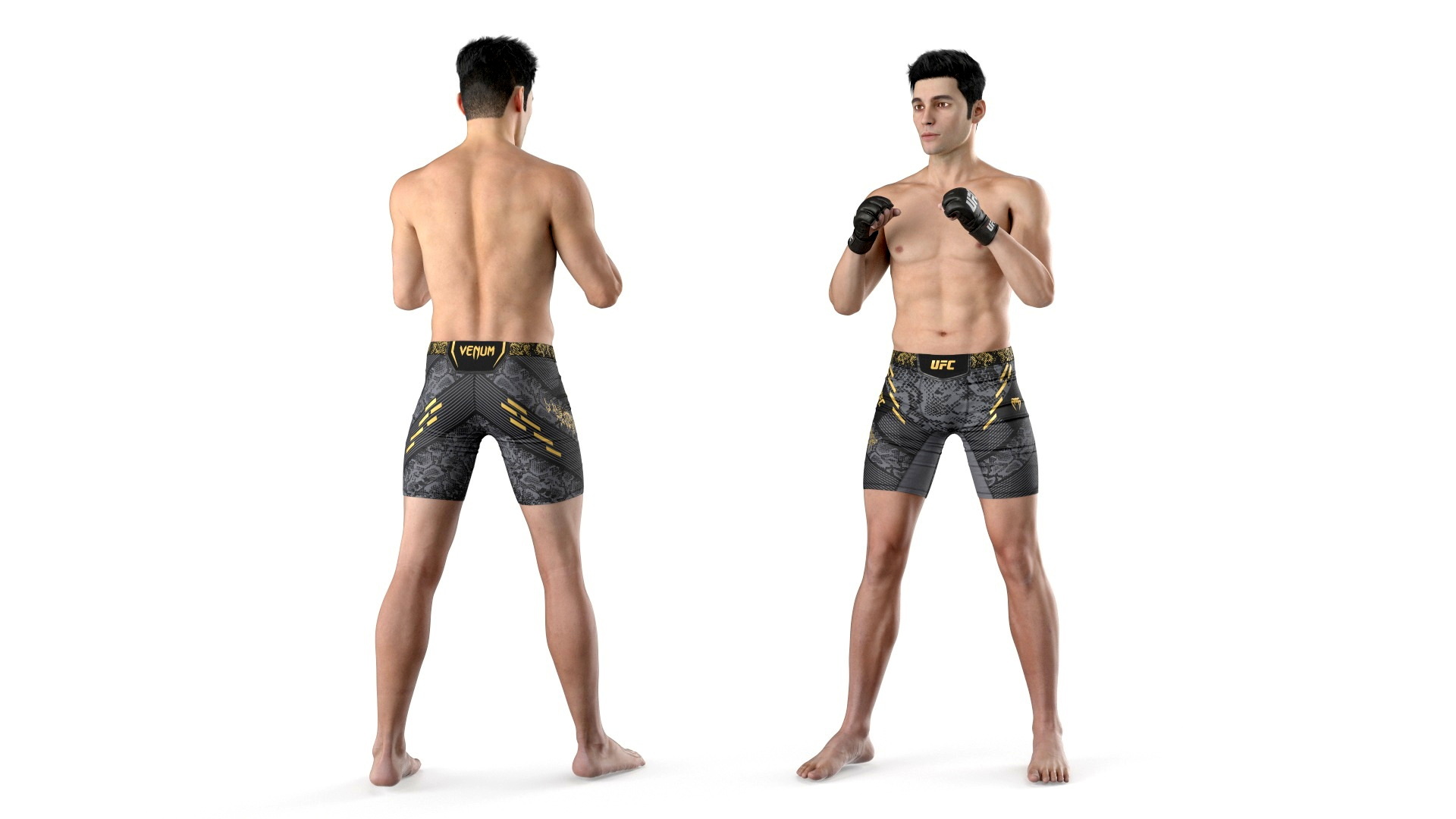 3D Fighter UFC MMA in Fighting Stance Fur model