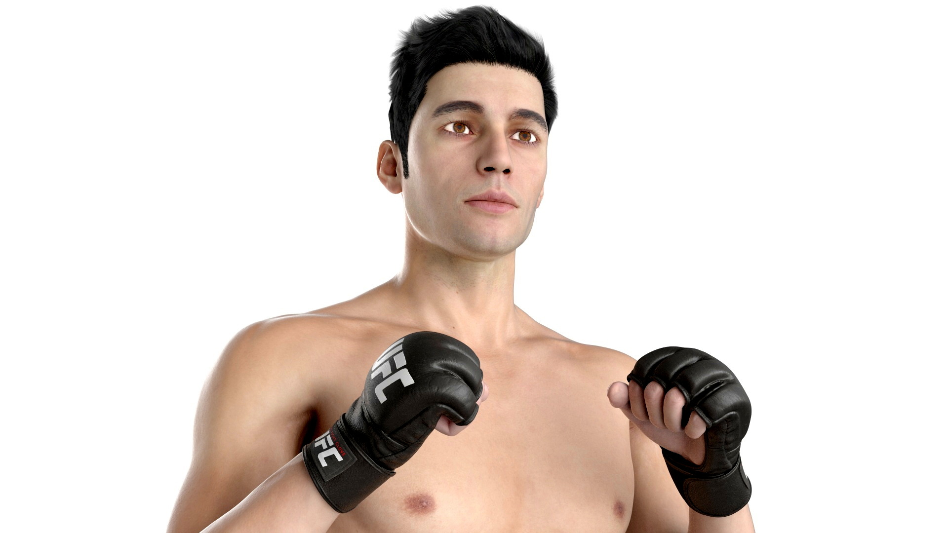 3D Fighter UFC MMA in Fighting Stance Fur model