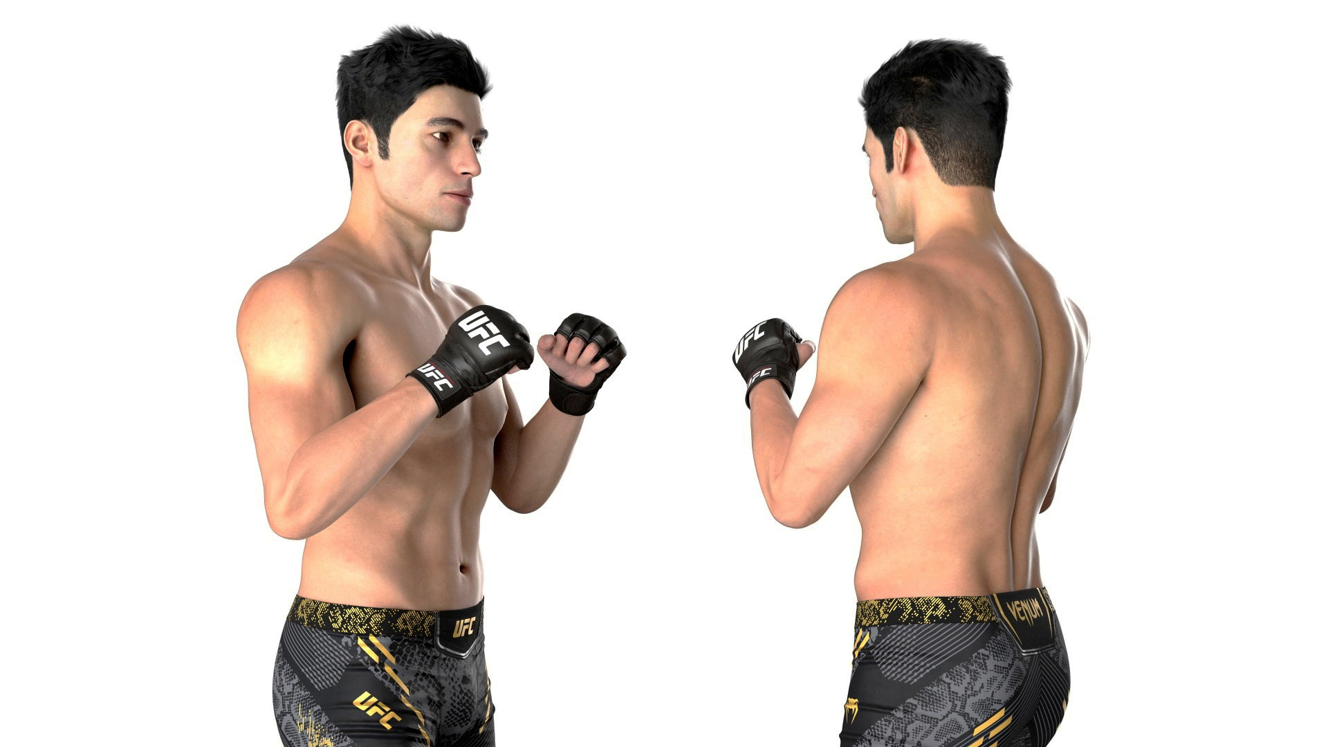 3D Fighter UFC MMA in Fighting Stance Fur model