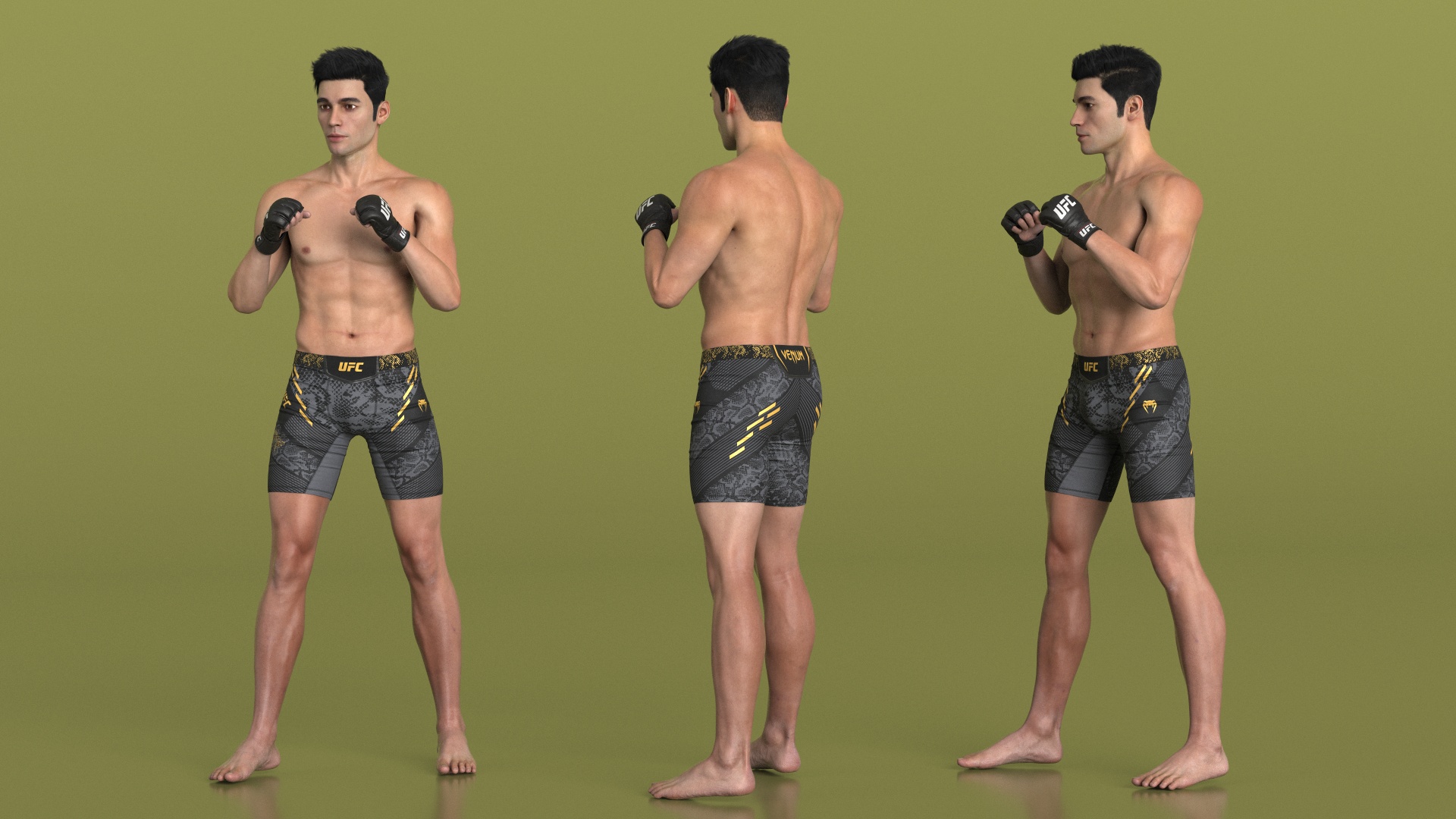 3D Fighter UFC MMA in Fighting Stance Fur model
