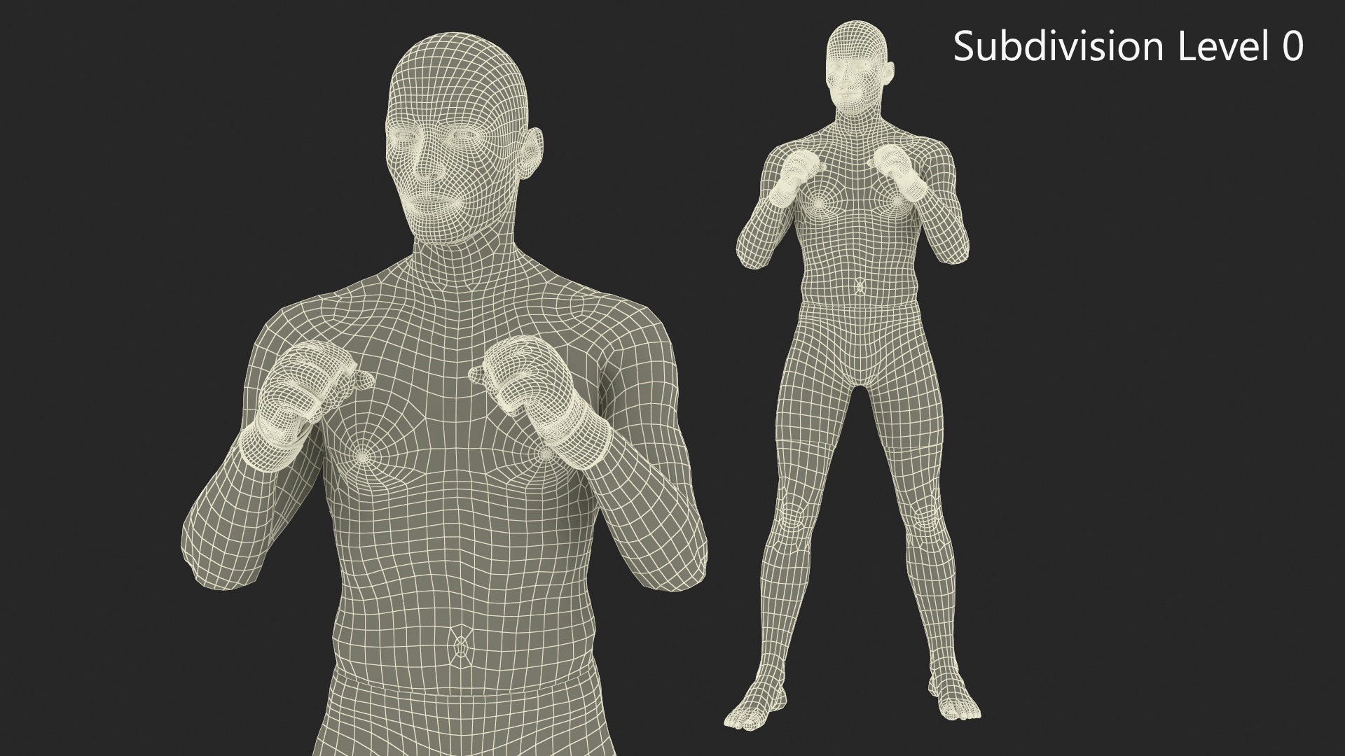 3D Fighter UFC MMA in Fighting Stance Fur model