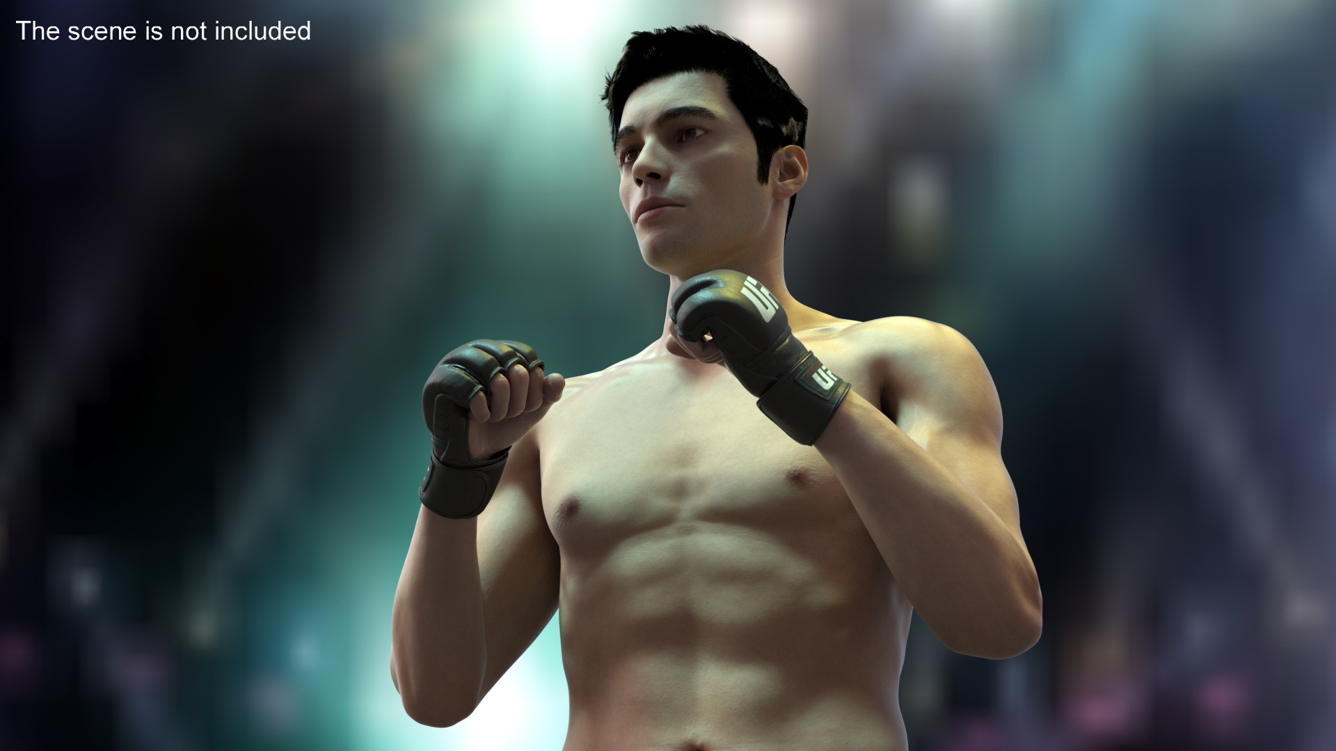 3D Fighter UFC MMA in Fighting Stance Fur model