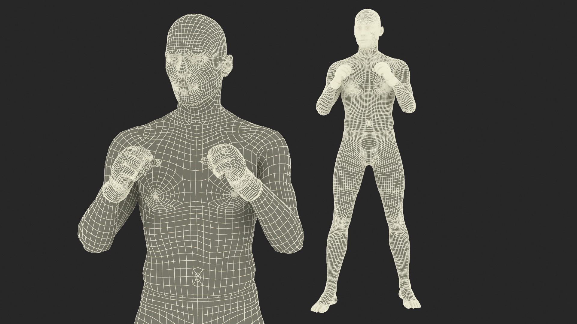 3D Fighter UFC MMA in Fighting Stance Fur model