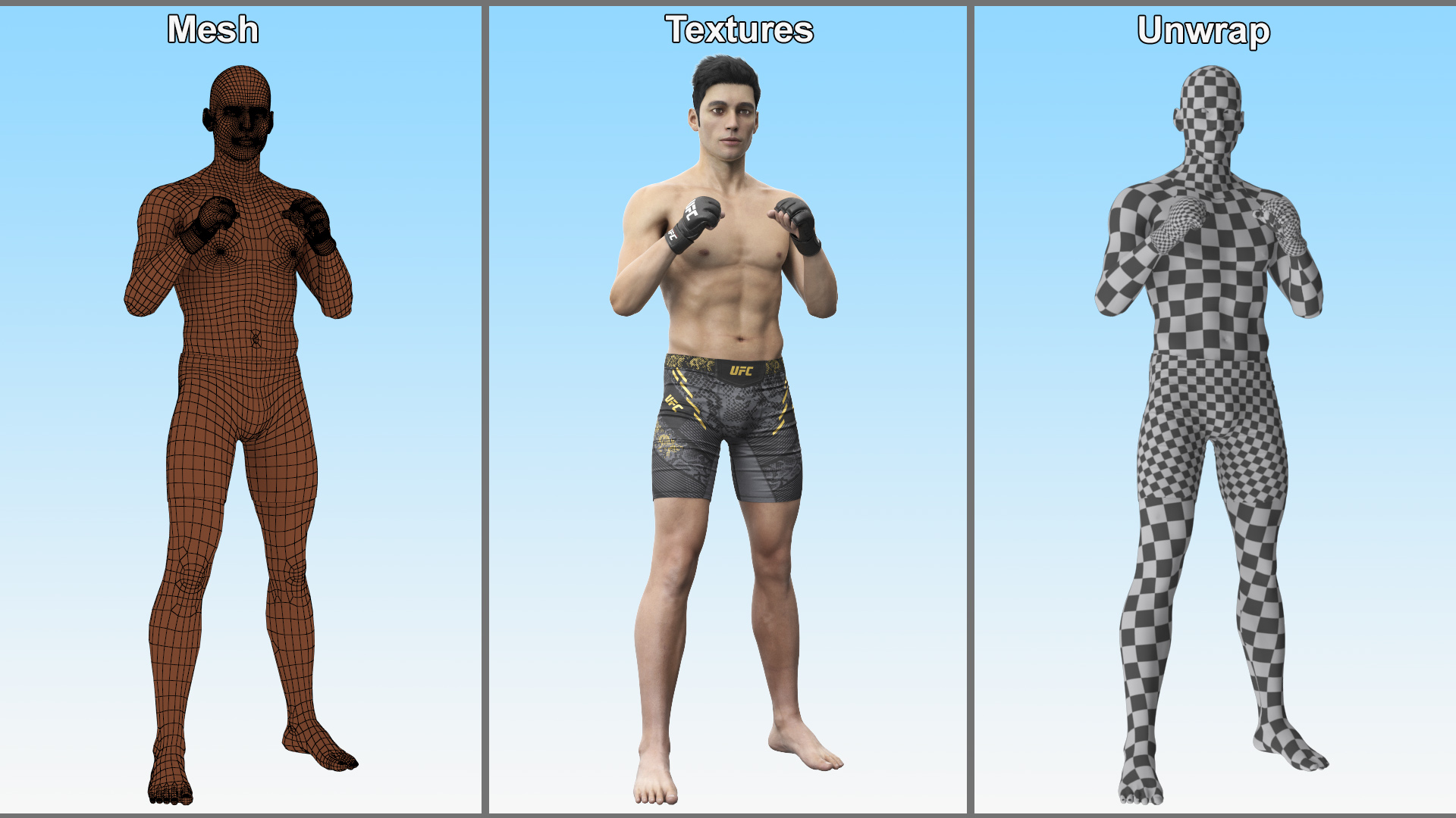 3D Fighter UFC MMA in Fighting Stance Fur model