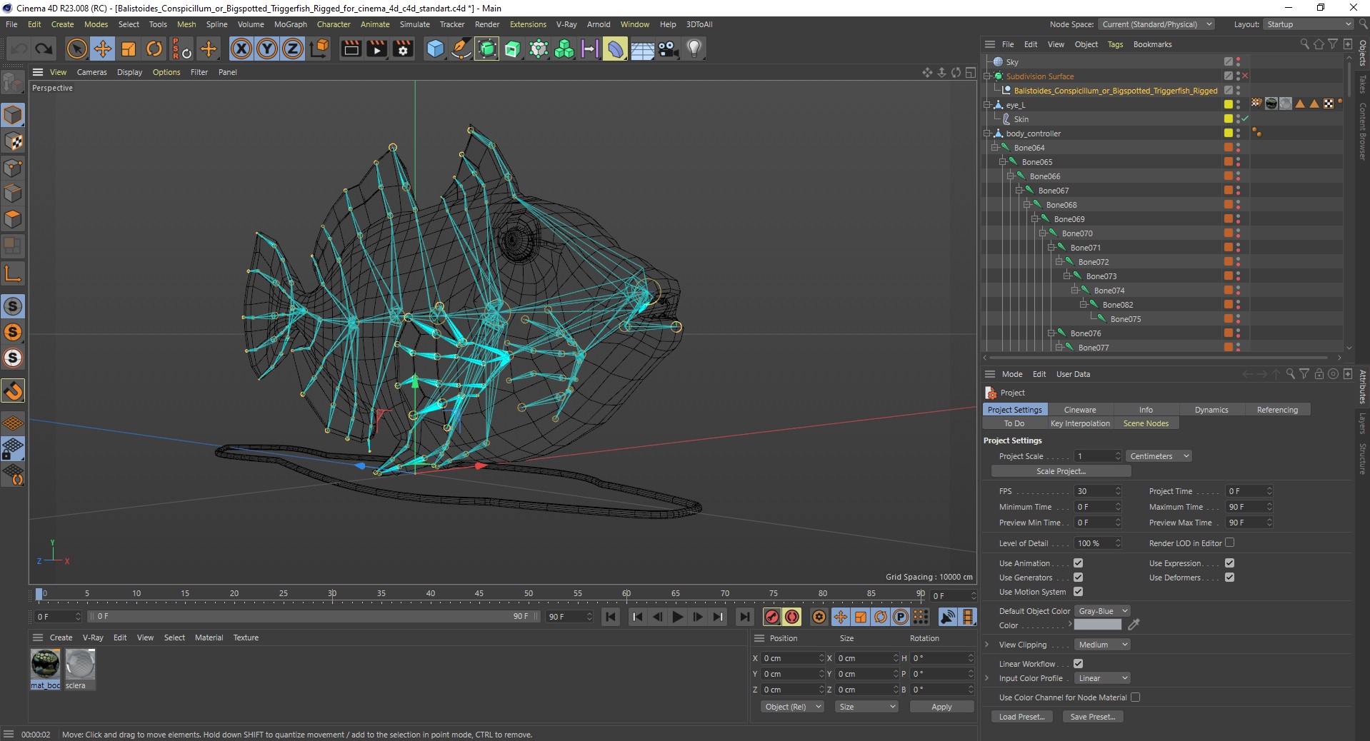 3D Balistoides Conspicillum or Bigspotted Triggerfish Rigged for Cinema 4D