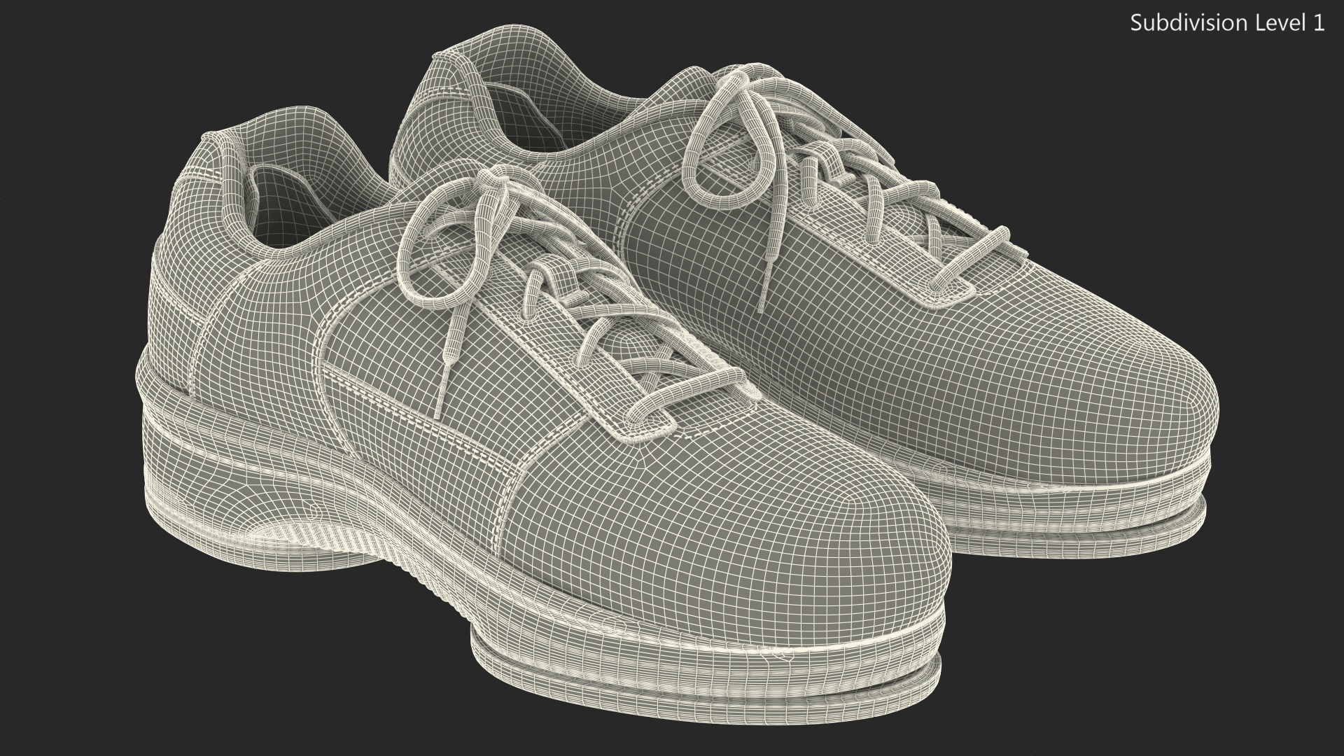 3D model Curling Shoes Balance Plus Fur