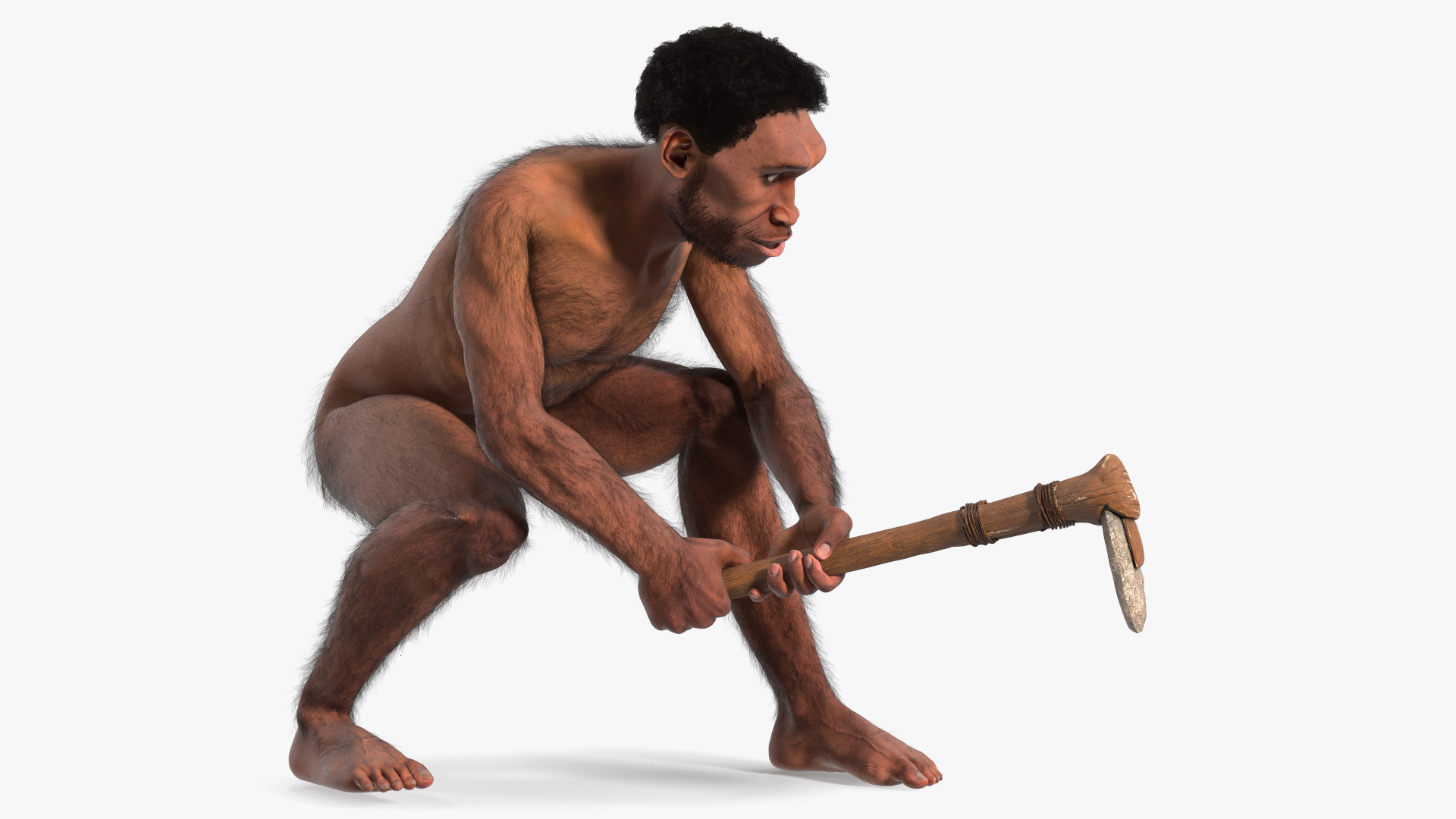 3D model Homo Erectus with a Prehistoric Stone Hoe Fur