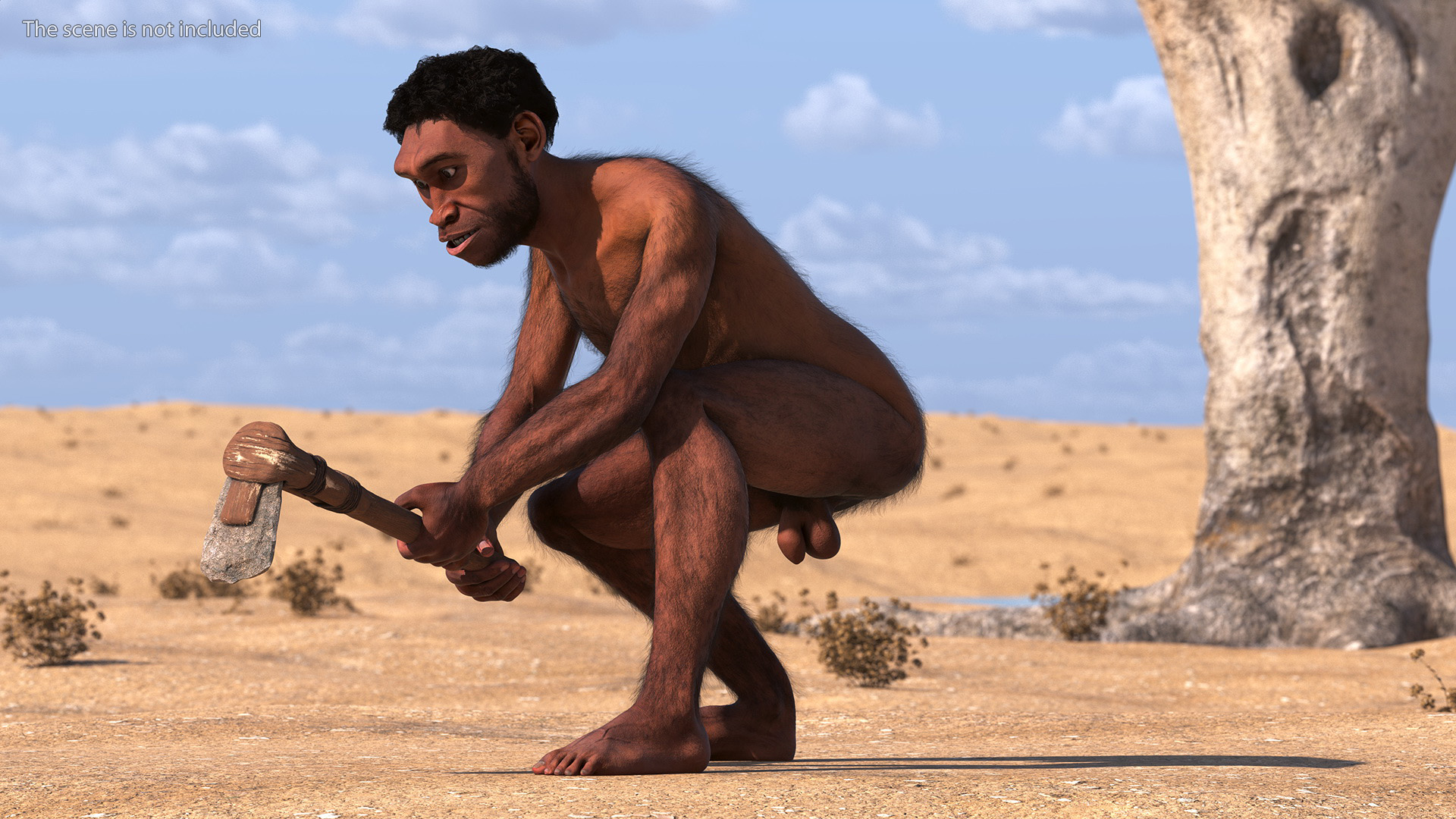 3D model Homo Erectus with a Prehistoric Stone Hoe Fur