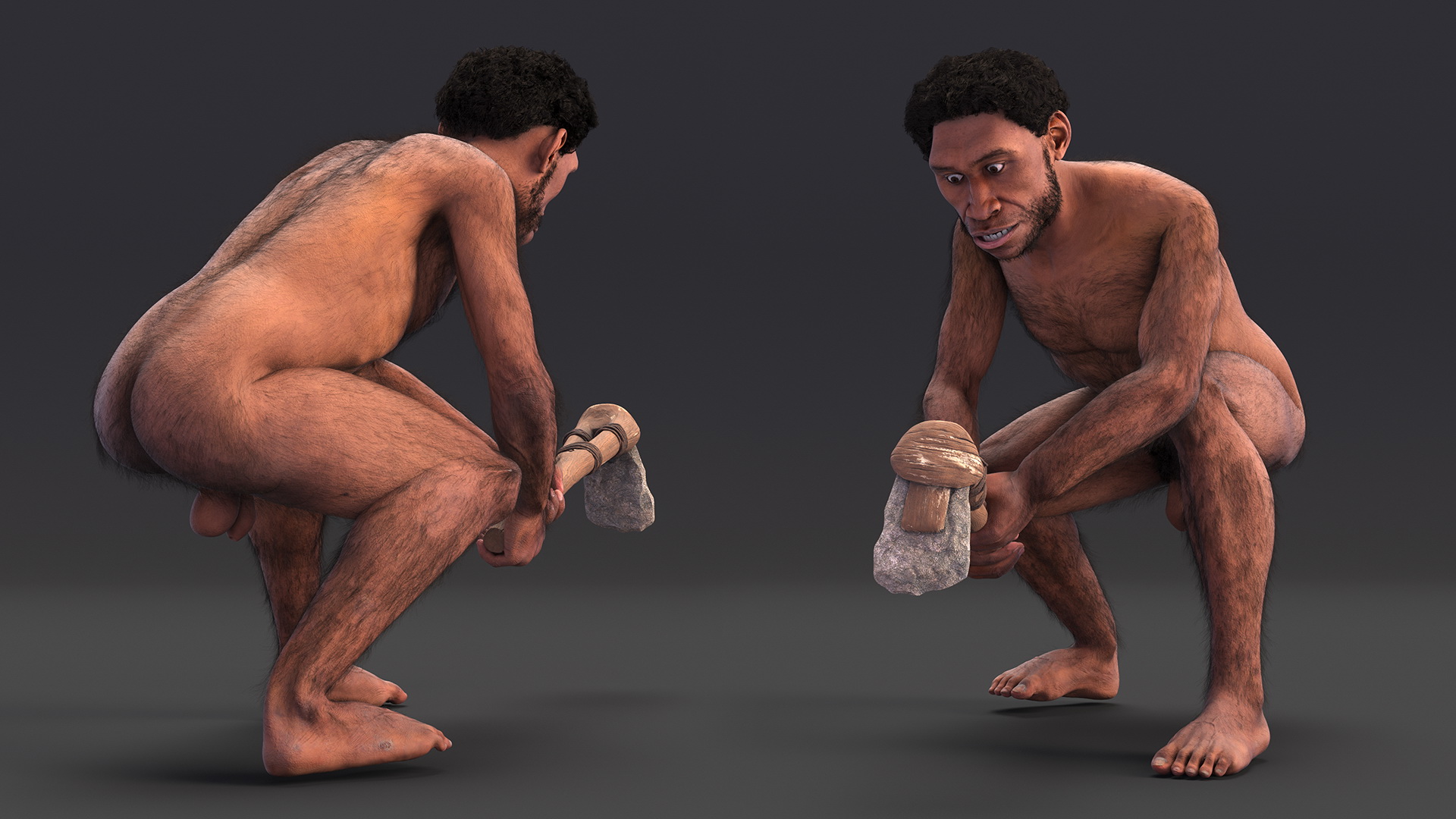 3D model Homo Erectus with a Prehistoric Stone Hoe Fur