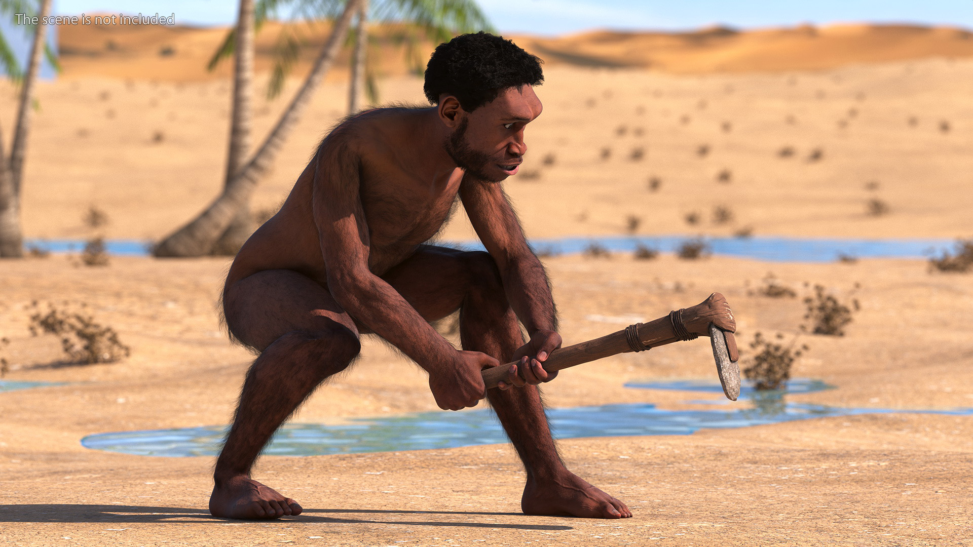 3D model Homo Erectus with a Prehistoric Stone Hoe Fur