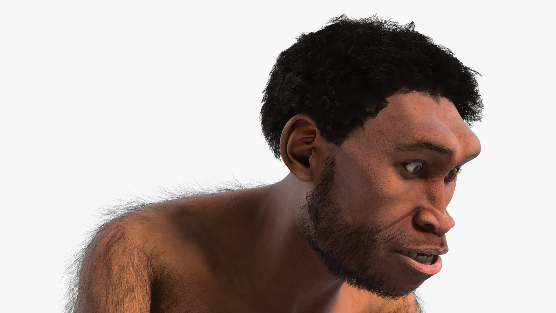 3D model Homo Erectus with a Prehistoric Stone Hoe Fur