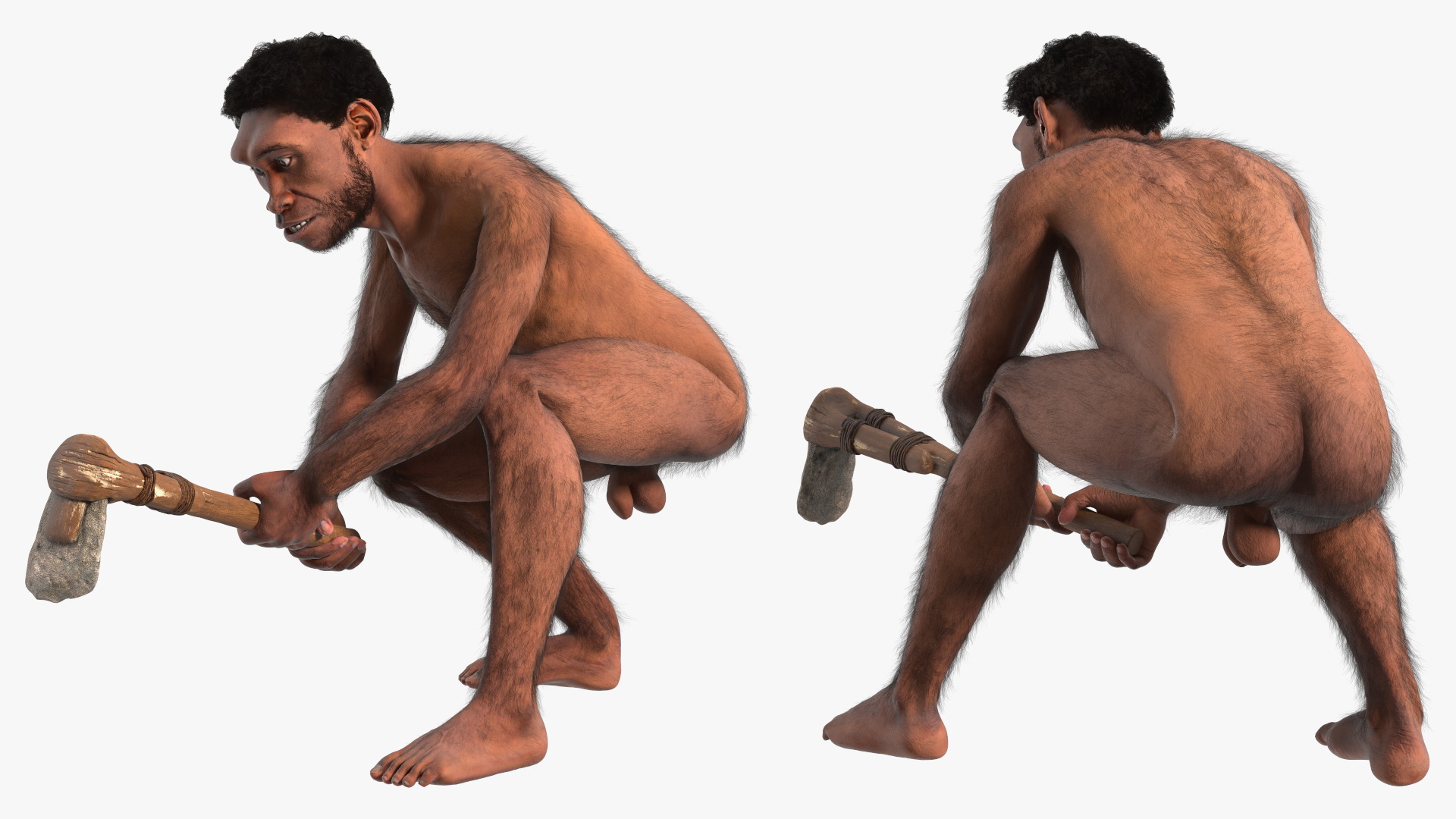 3D model Homo Erectus with a Prehistoric Stone Hoe Fur