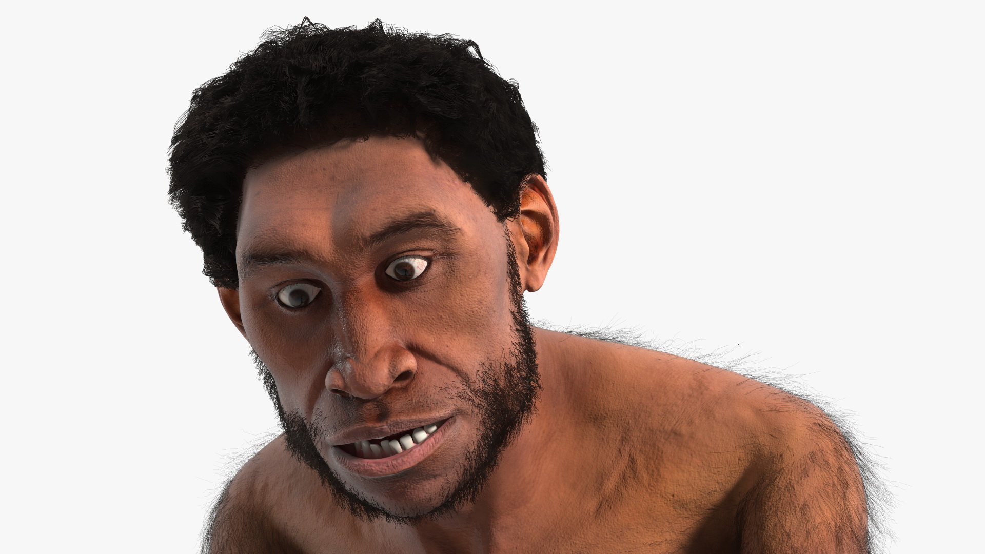 3D model Homo Erectus with a Prehistoric Stone Hoe Fur