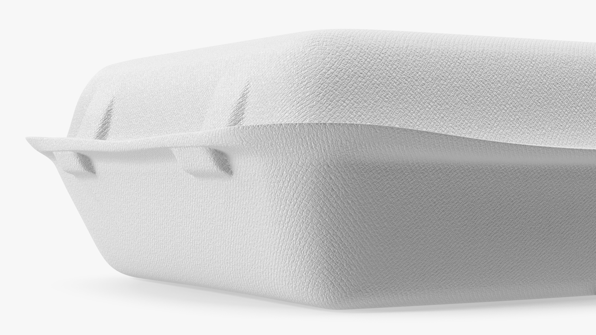 3D Compostable Food Container Closed model