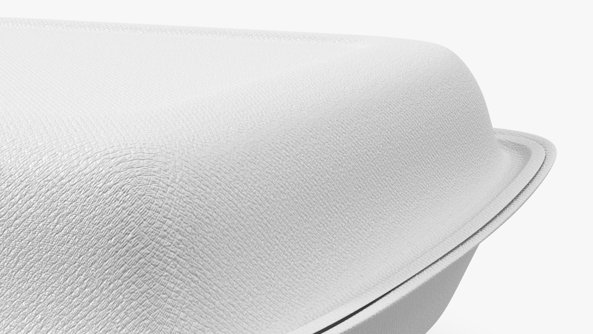 3D Compostable Food Container Closed model