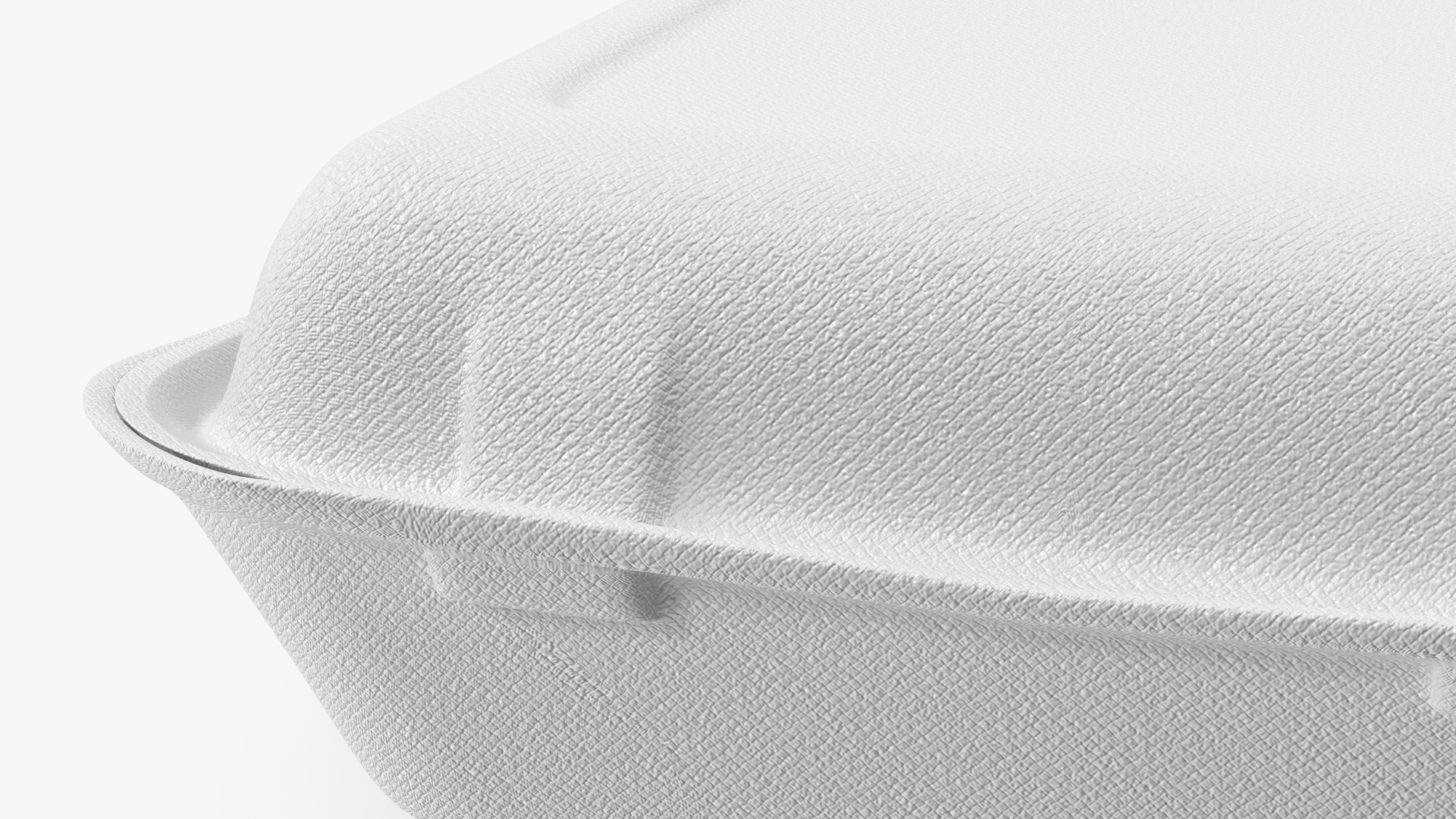 3D Compostable Food Container Closed model