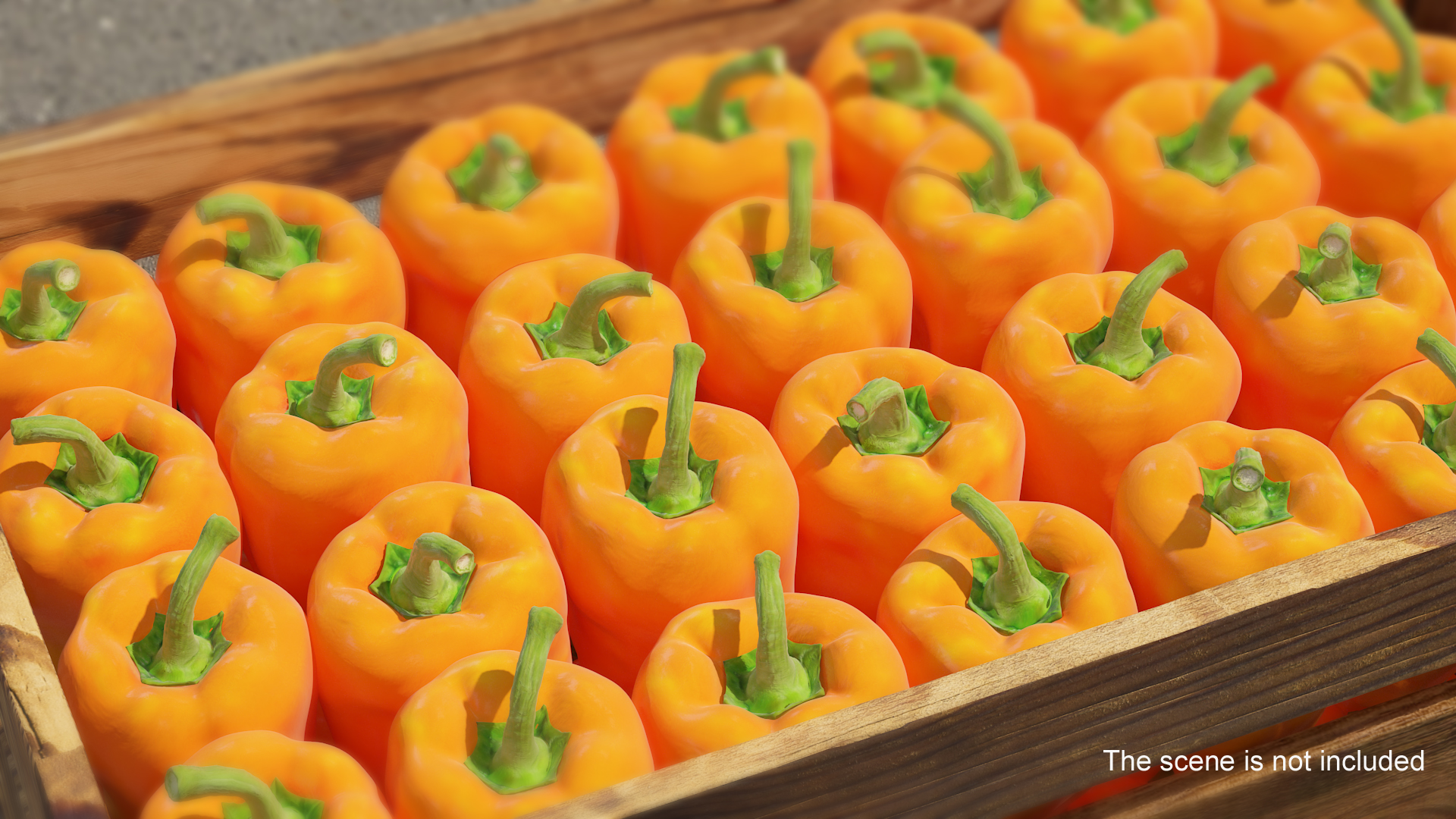 Sweet Long Pepper Orange 3D model