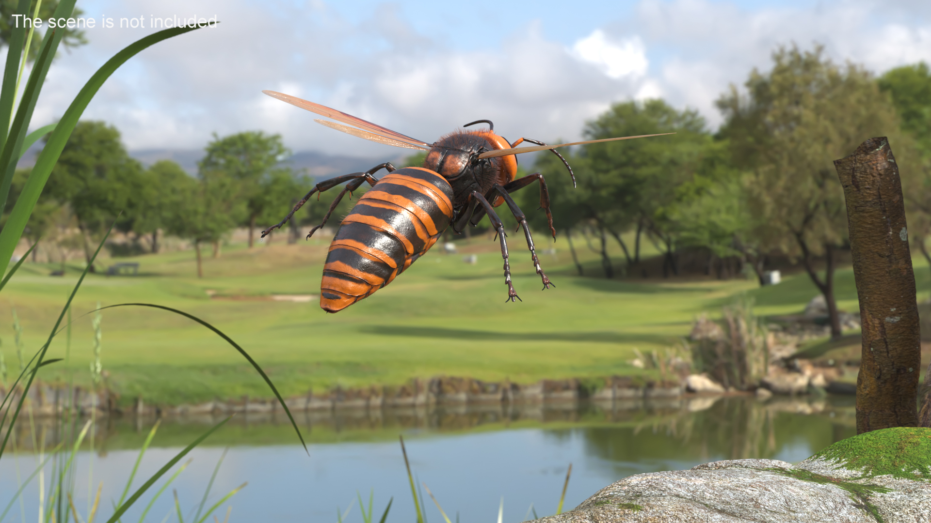 Giant Asian Hornet Fur Flying Pose 3D model
