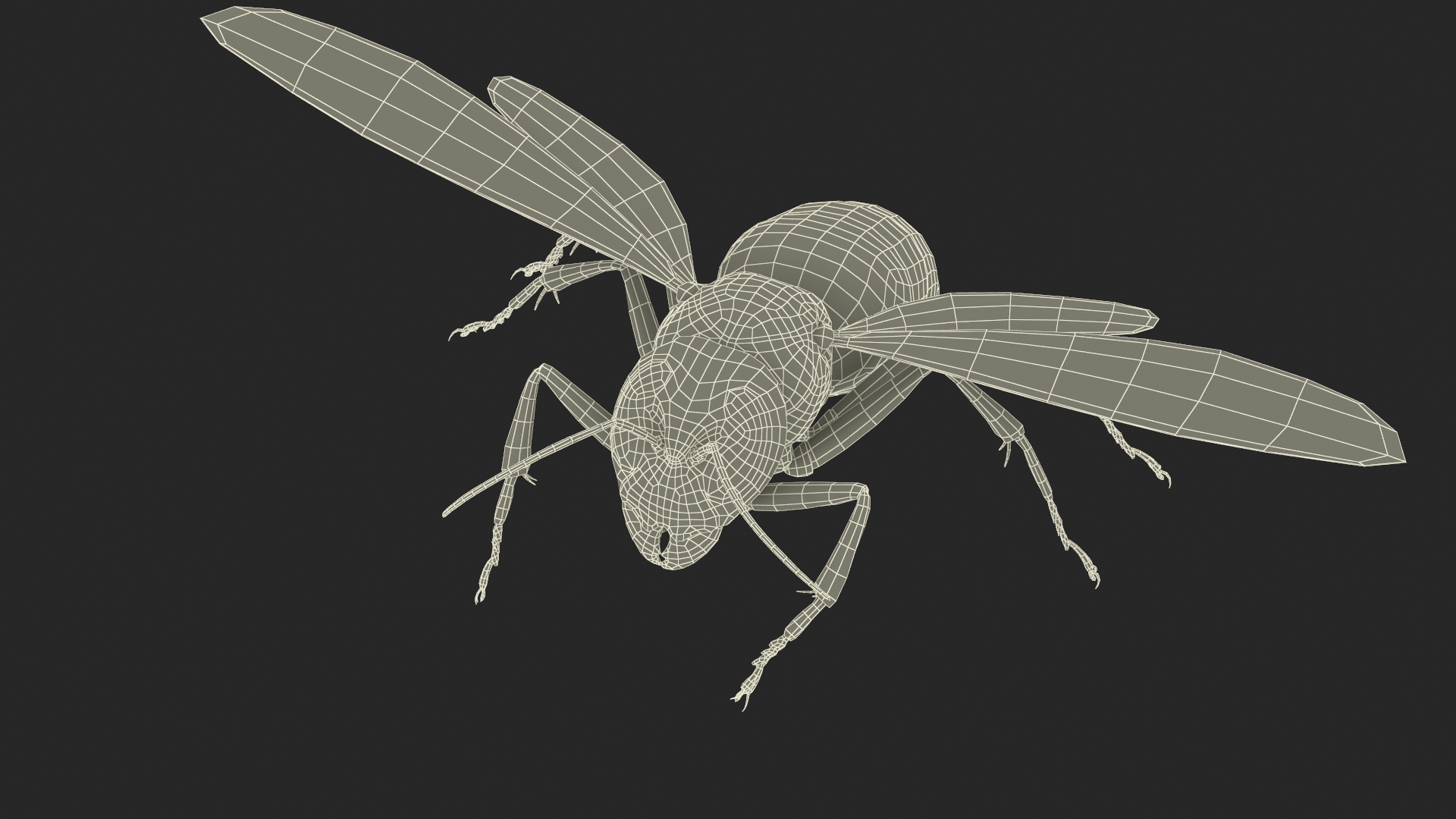 Giant Asian Hornet Fur Flying Pose 3D model