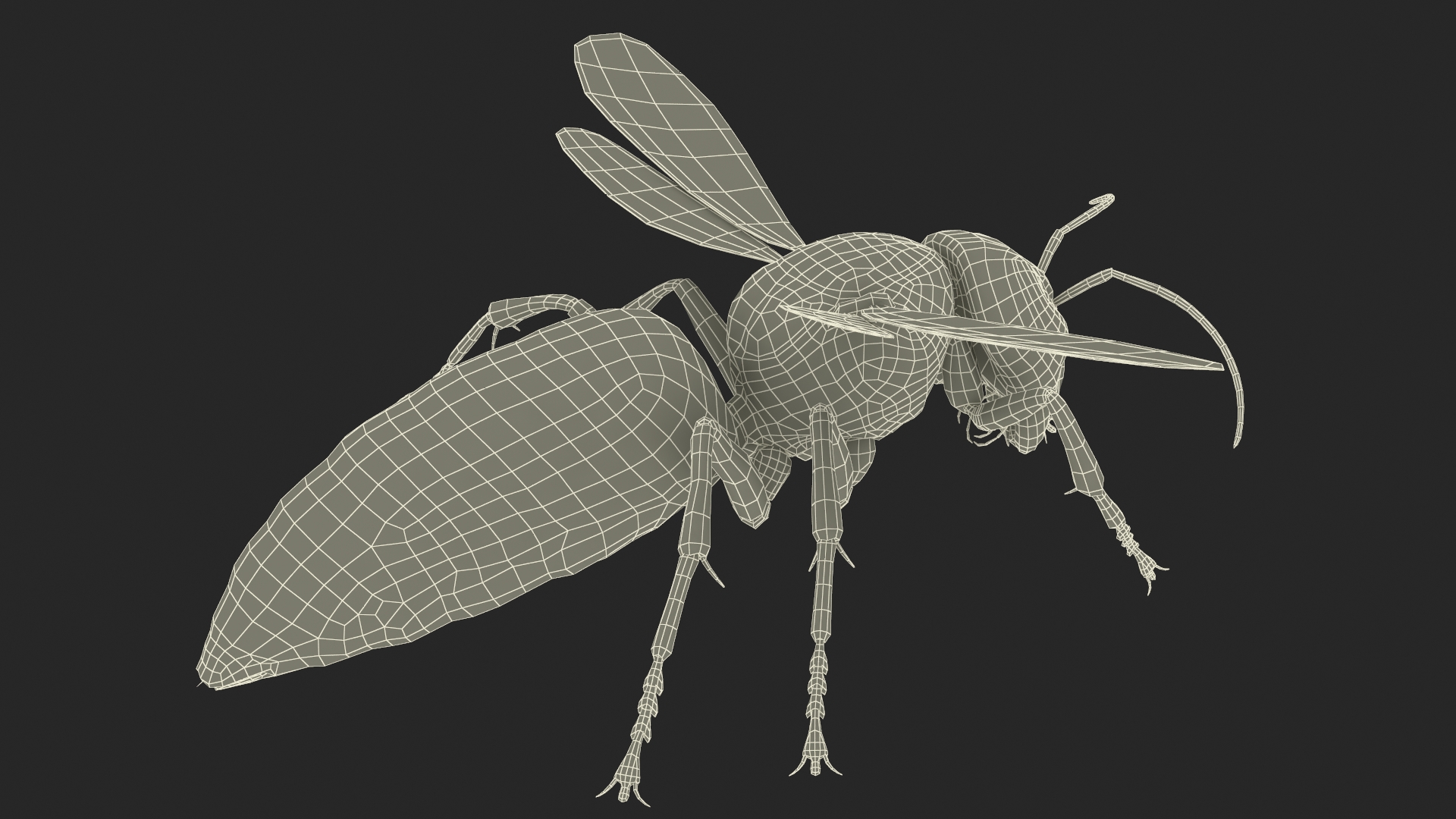 Giant Asian Hornet Fur Flying Pose 3D model