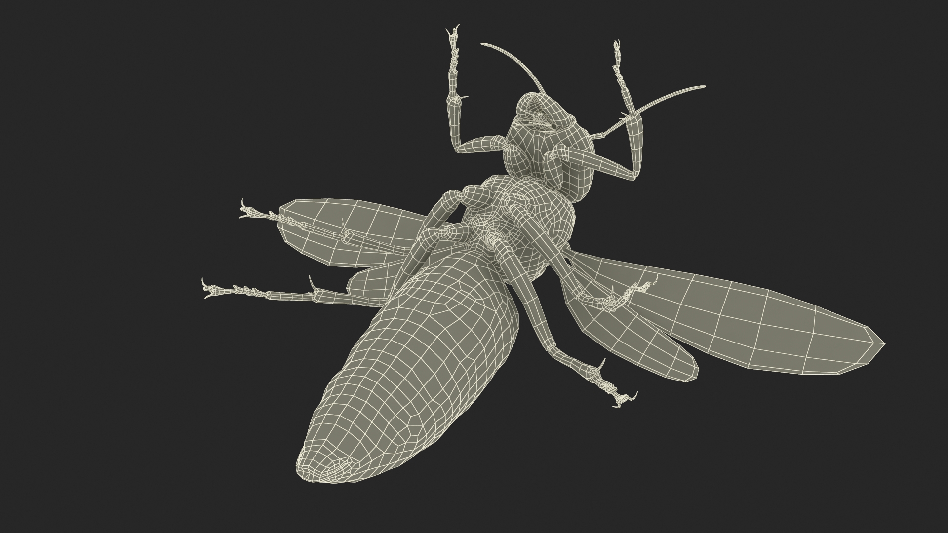Giant Asian Hornet Fur Flying Pose 3D model