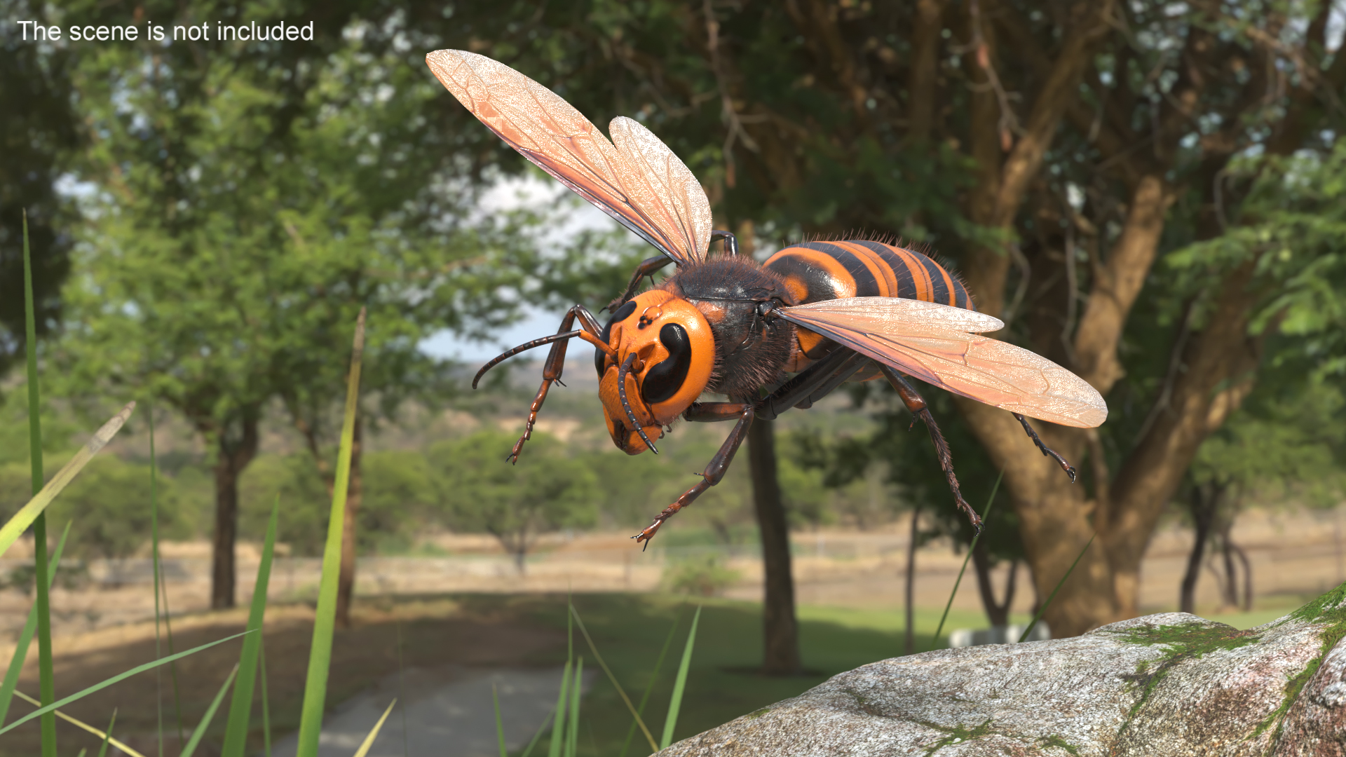 Giant Asian Hornet Fur Flying Pose 3D model