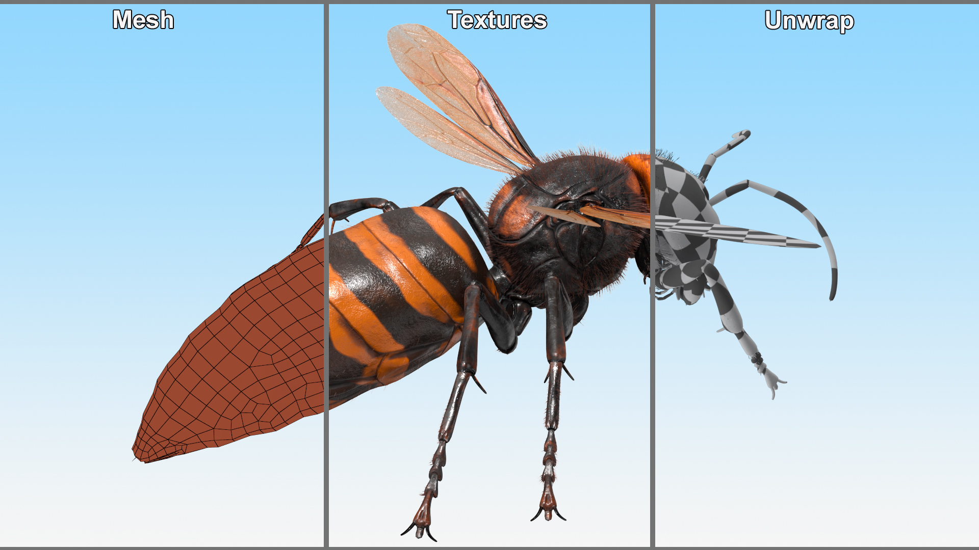 Giant Asian Hornet Fur Flying Pose 3D model
