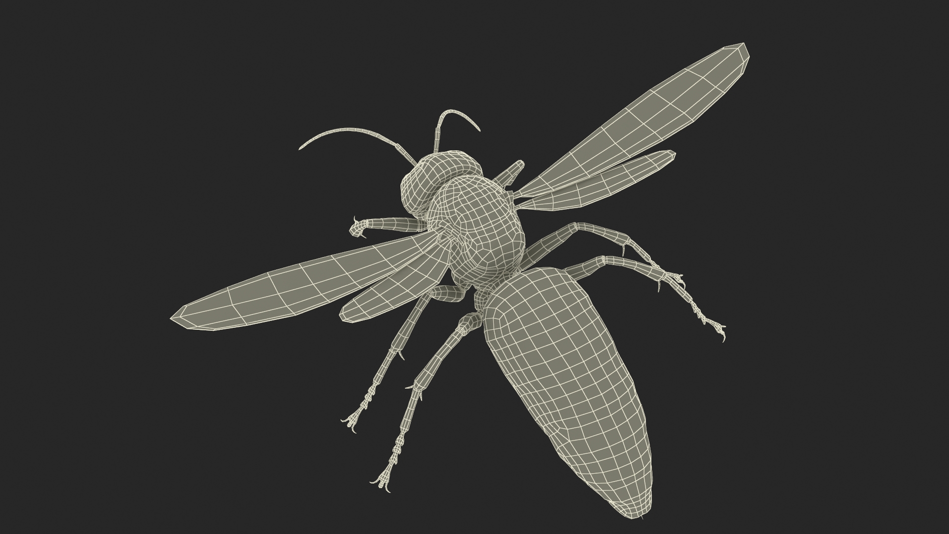 Giant Asian Hornet Fur Flying Pose 3D model