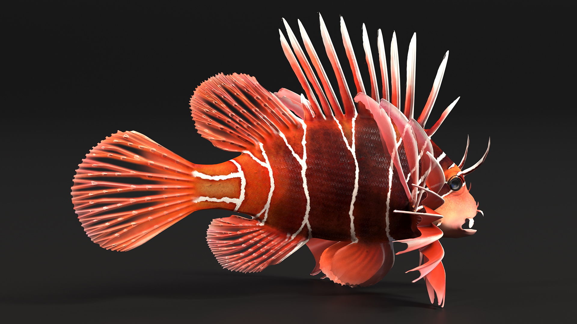 Clearfin Lionfish 3D