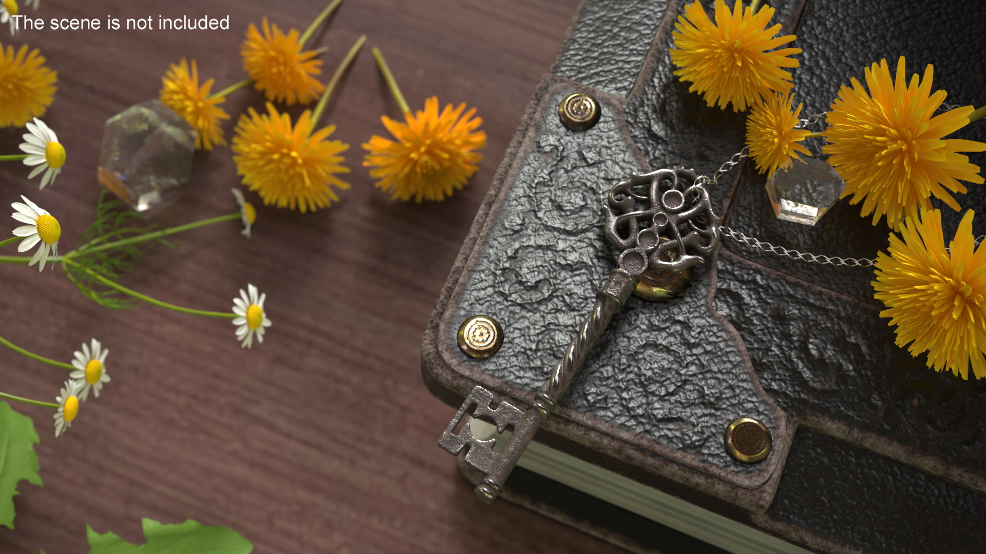3D Fantasy Skeleton Key Steel